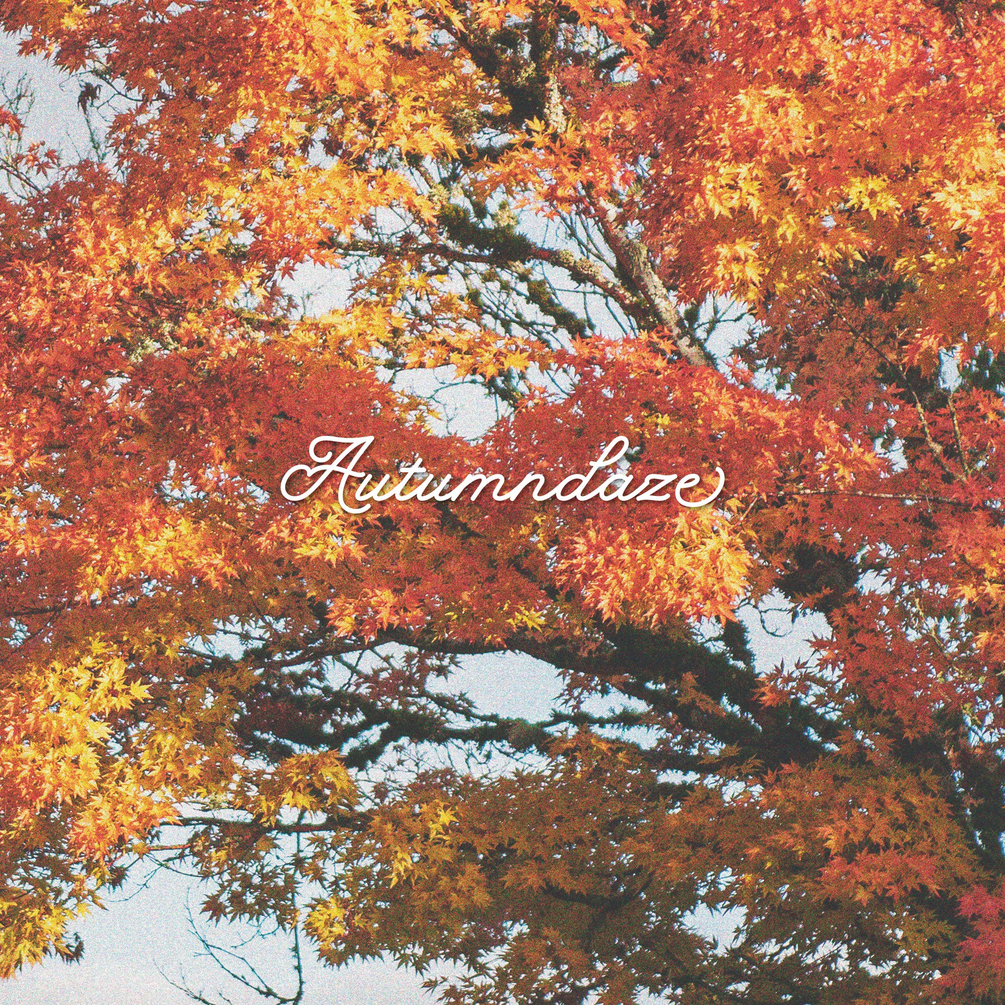 Autumndaze Volume 6