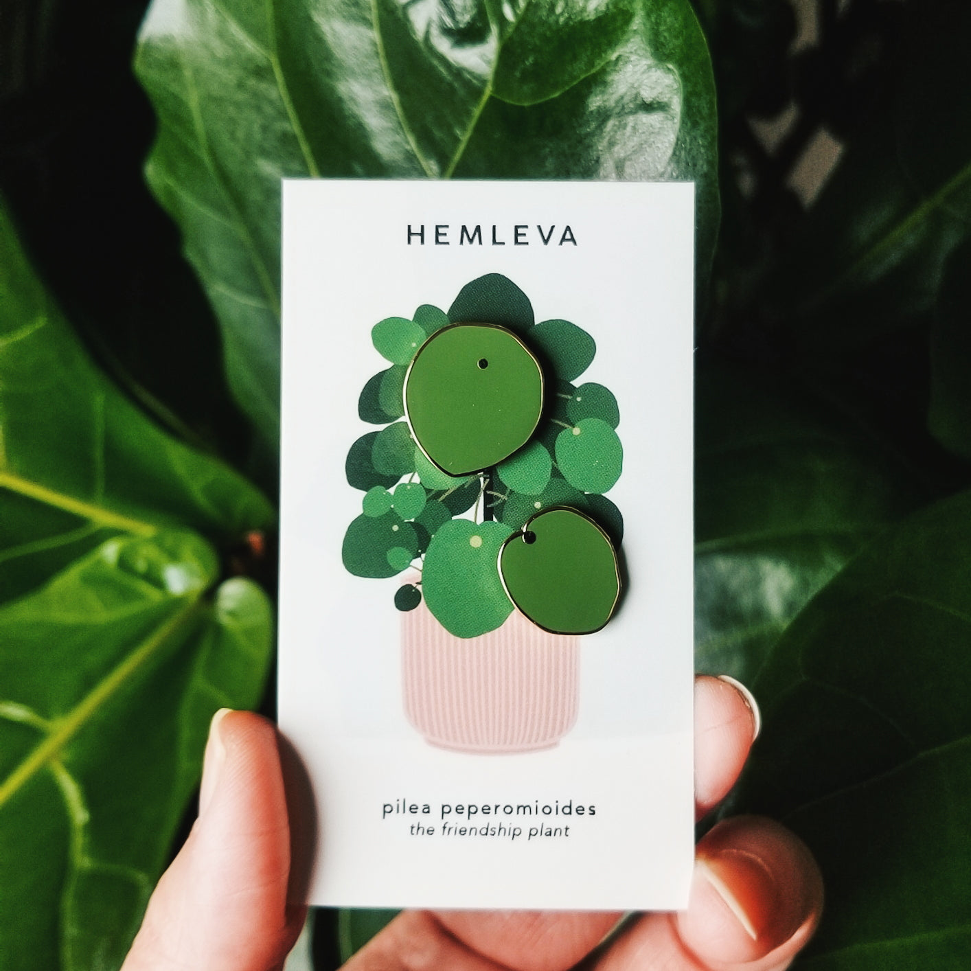 Hemleva | Pins