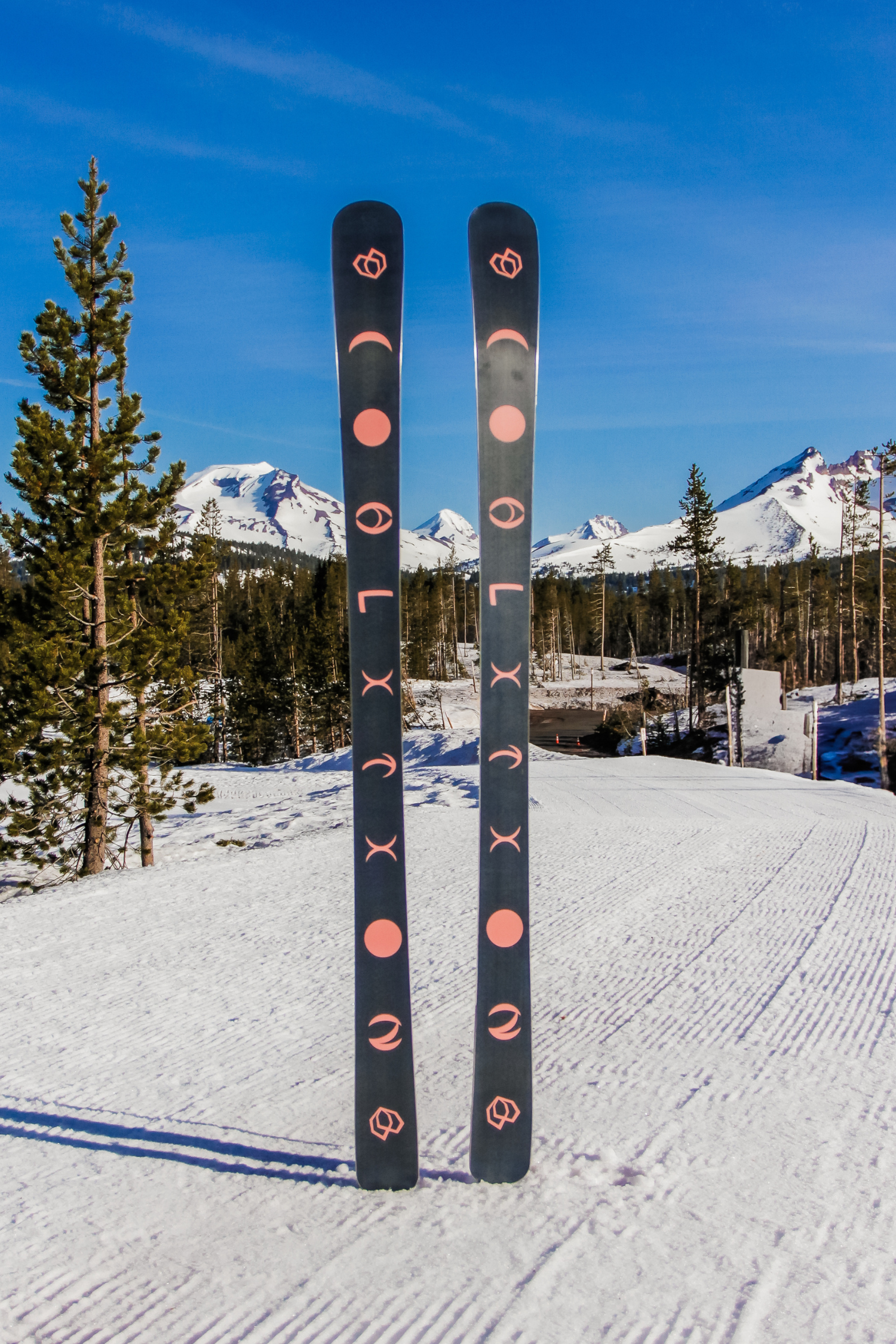 Rebel | Phase Me Not