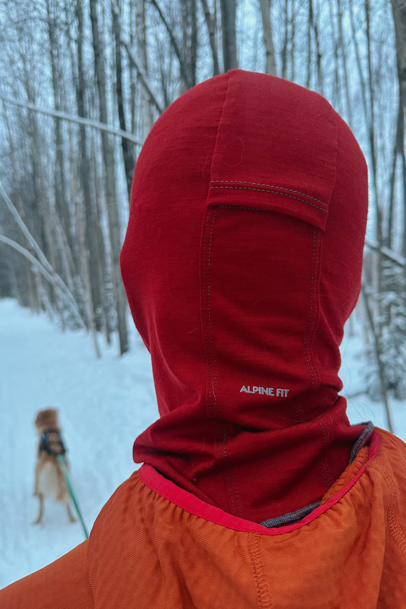 Alpine Fit | Merino Wool Balaclava