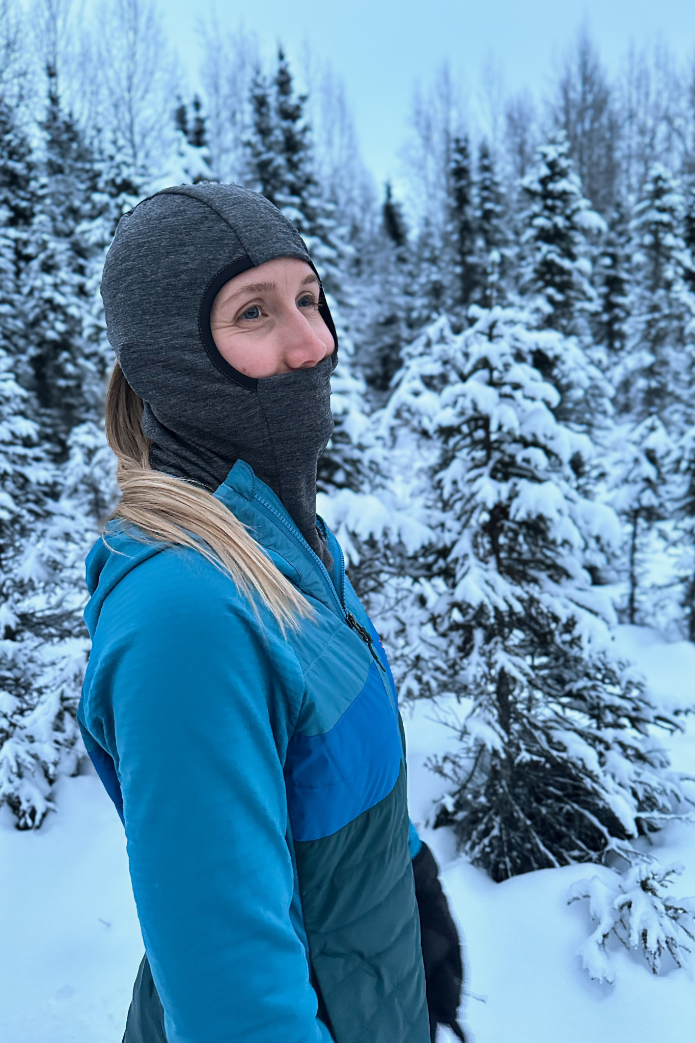 Merino Wool Balaclava Unisex Winter Ski Camping Hiking Cold Weather Merino Wool Balaclava | Versatile & Odor-Resistant for Cold  main image 2