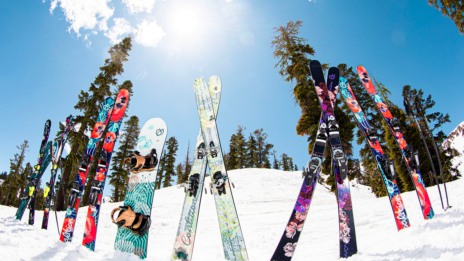 Skis made by women, for just about everyone...