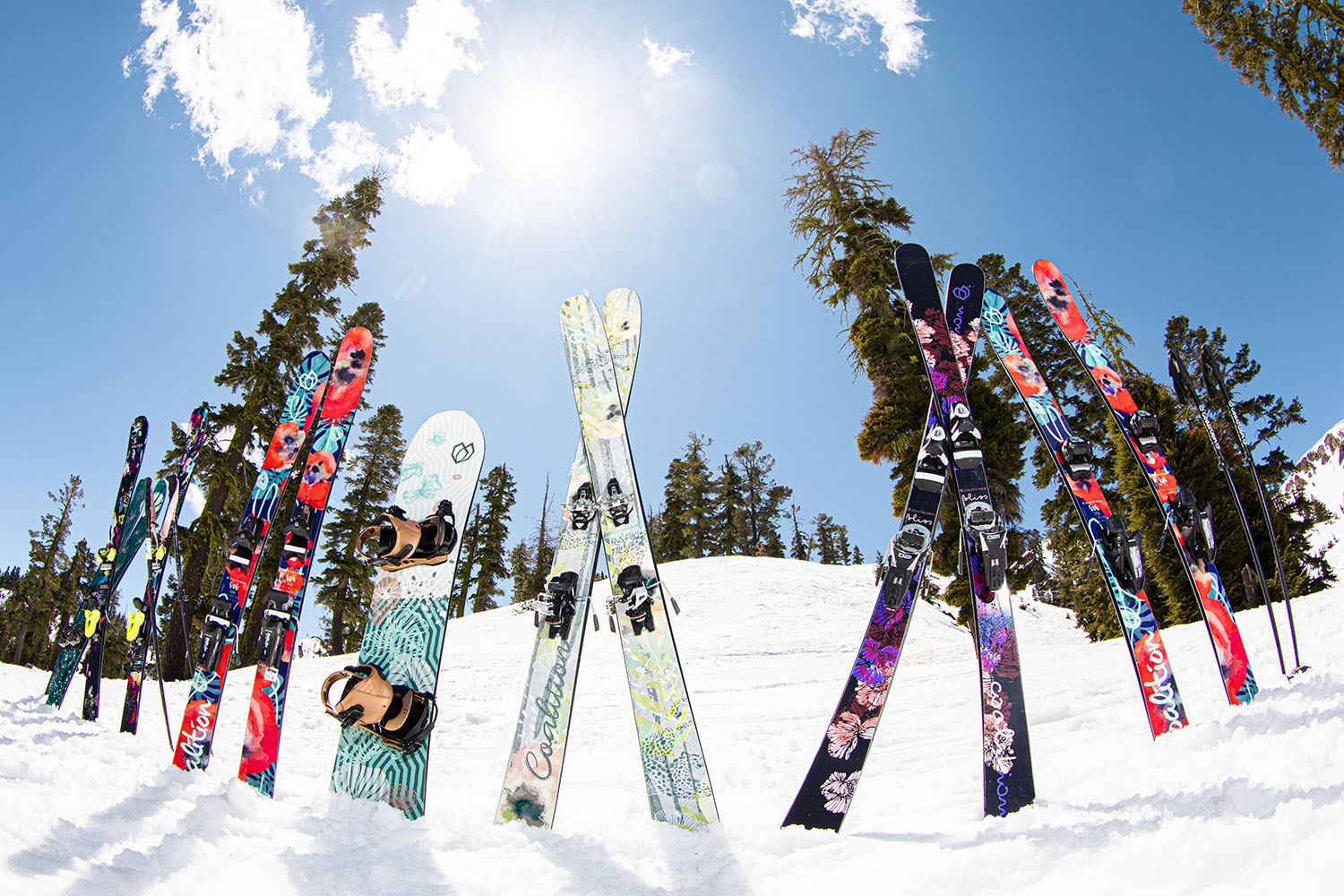Skis made by women, for just about everyone...