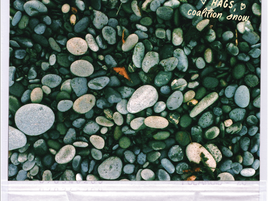 Summerdaze Volume 15