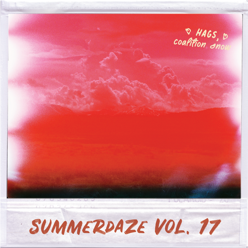 Summerdaze Volume 17