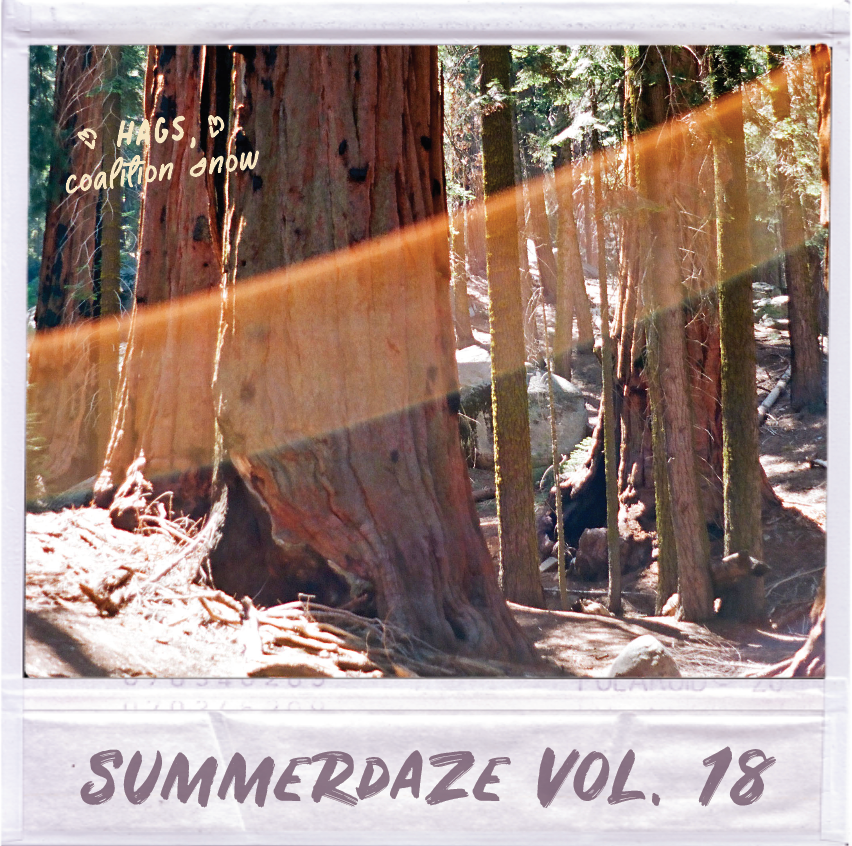 Summerdaze Volume 18