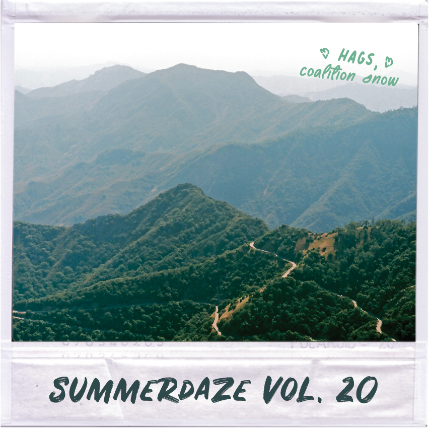 Summerdaze Volume 20