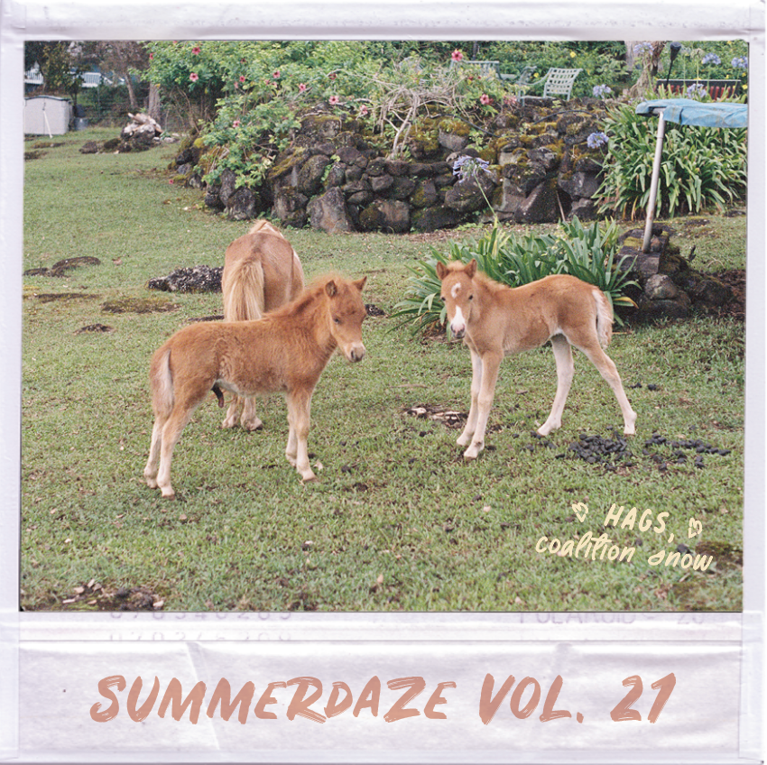 Summerdaze Volume 21
