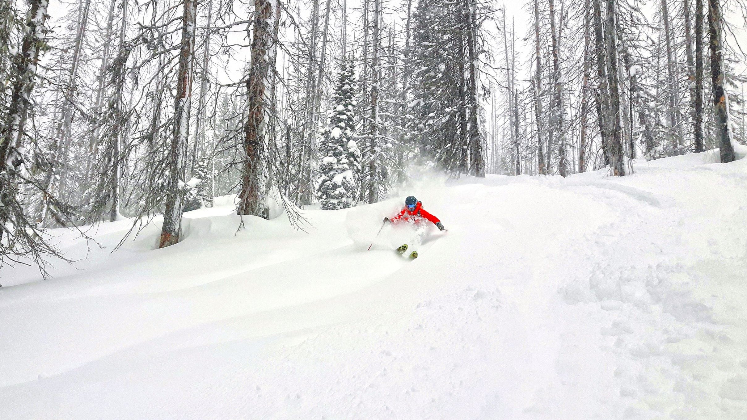 Snowsports Scholarships Aimed At Diversifying The Mountain & The Backcountry