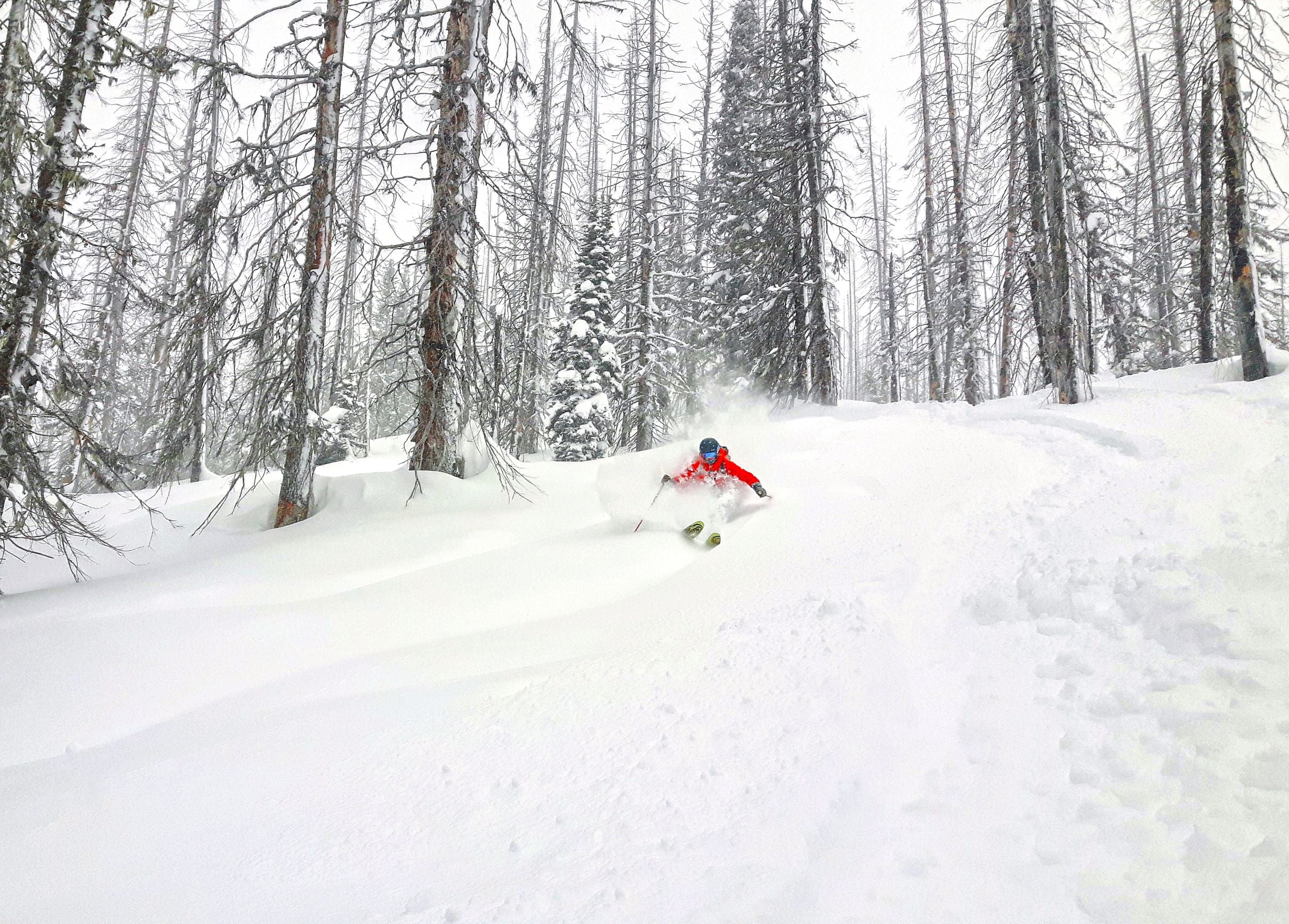 Snowsports Scholarships Aimed At Diversifying The Mountain & The Backcountry