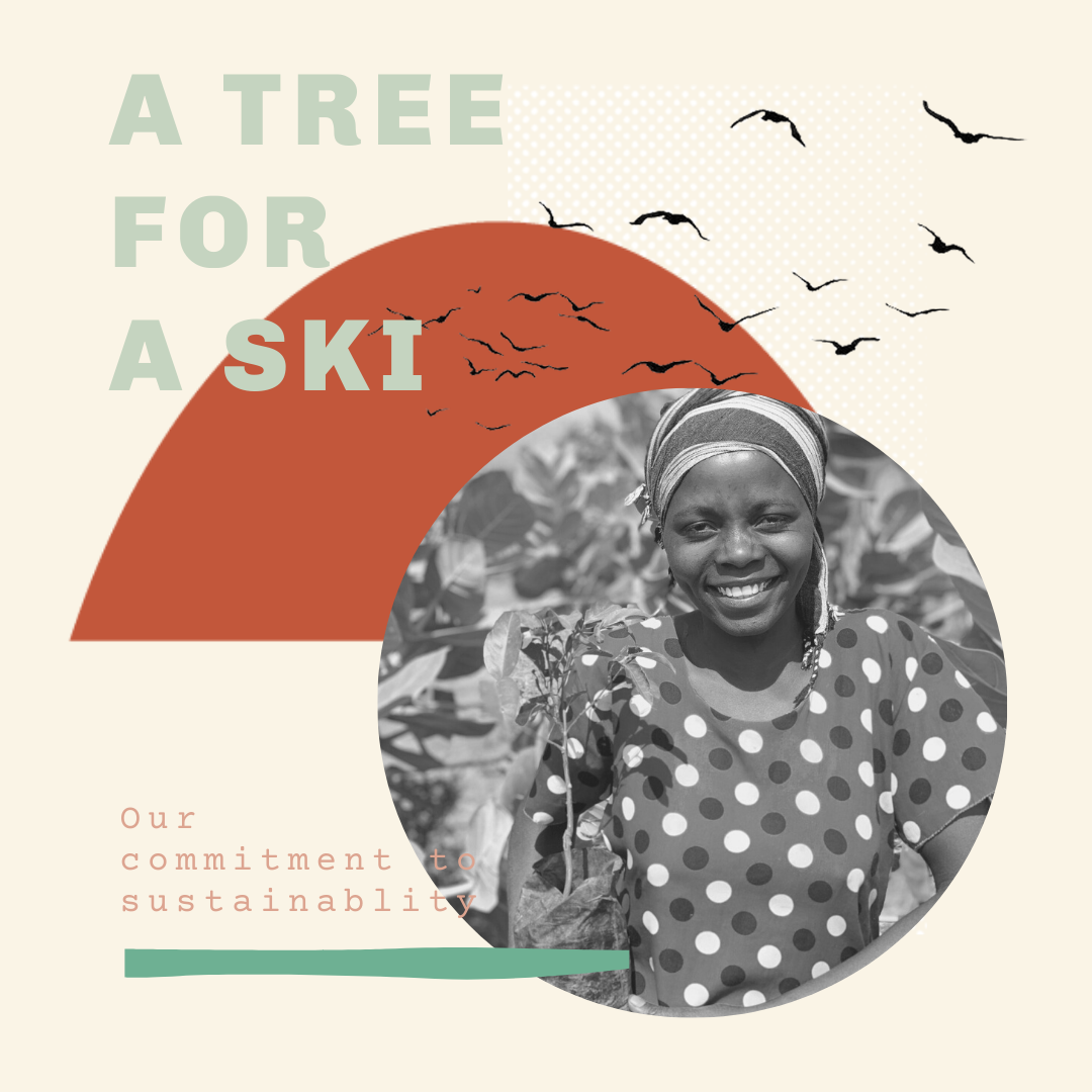 A Tree For A Ski