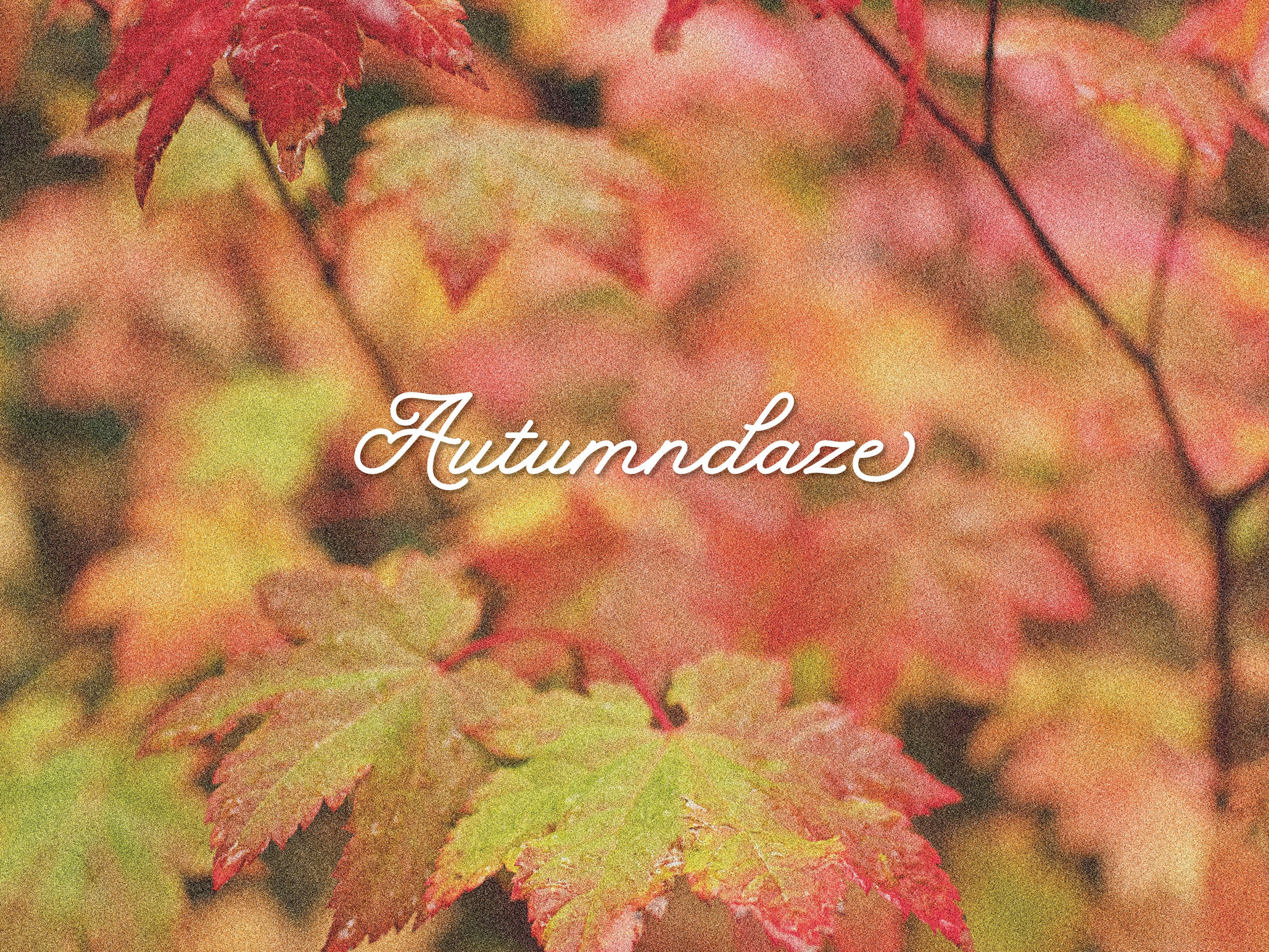 Autumndaze Volume 5