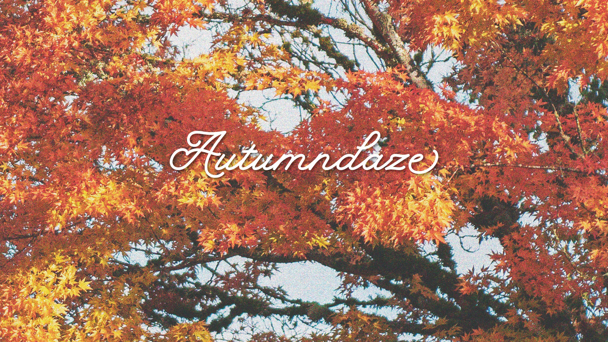 Autumndaze Volume 6