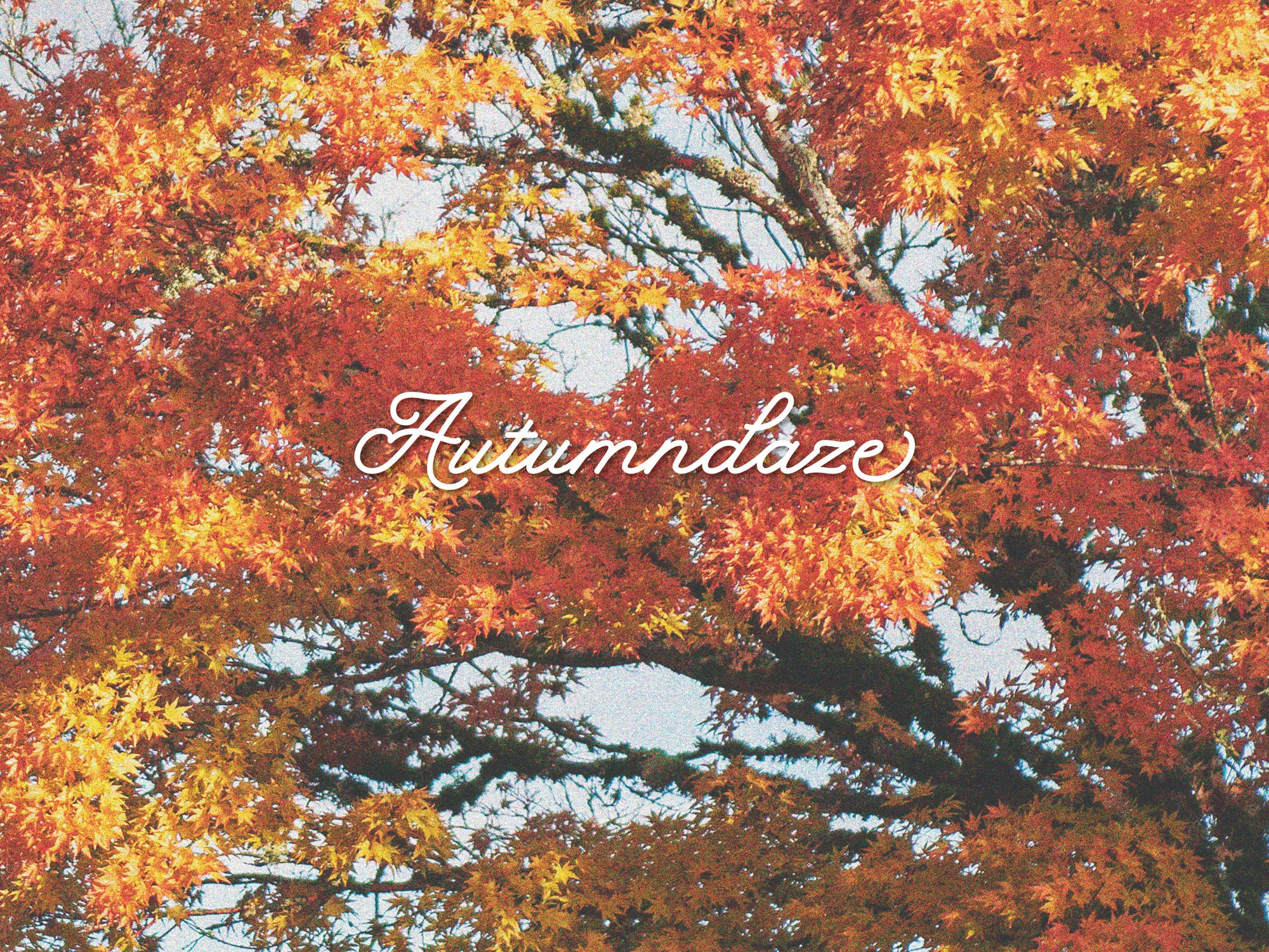 Autumndaze Volume 6