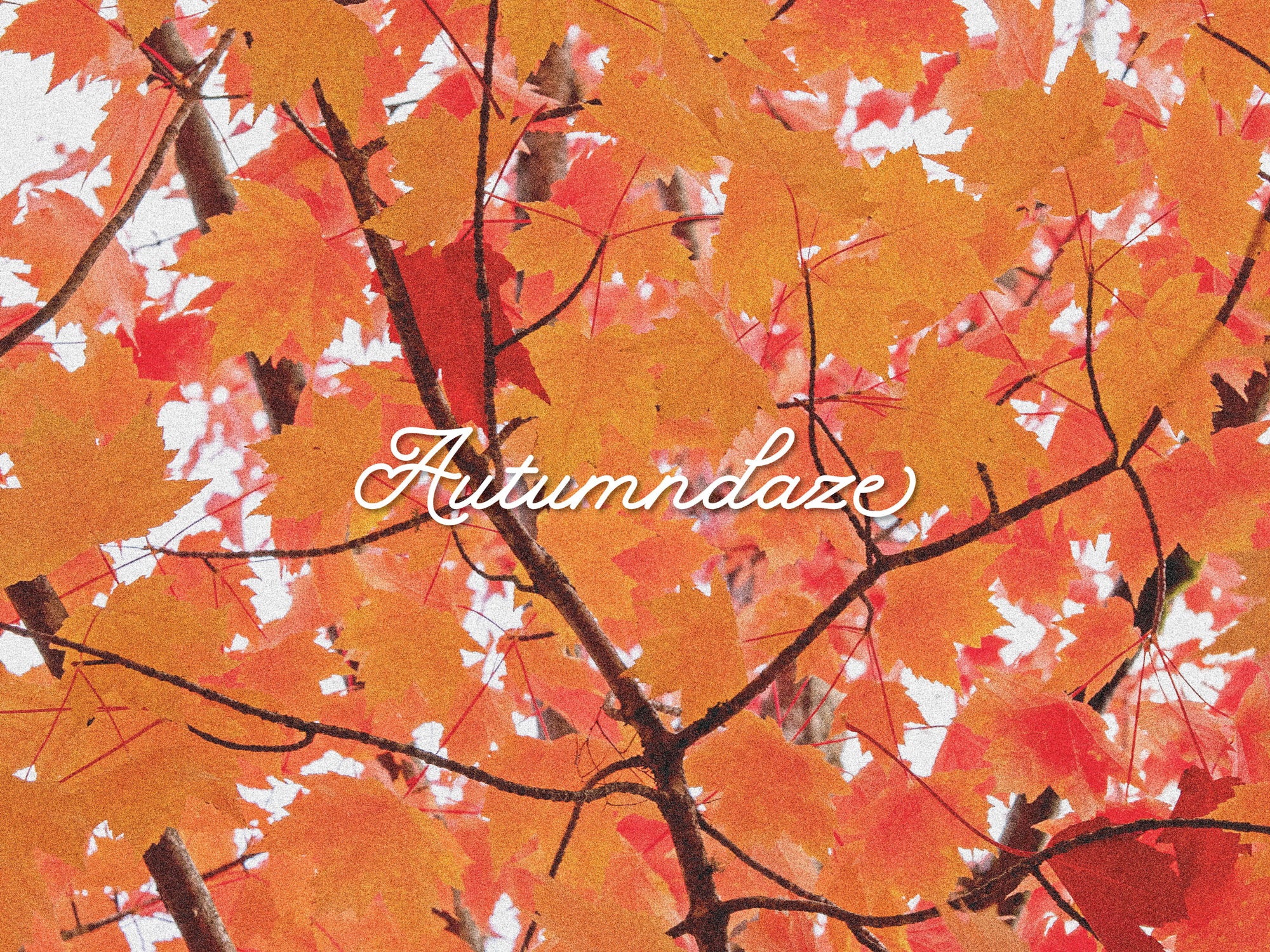 Autumndaze Vol. 7