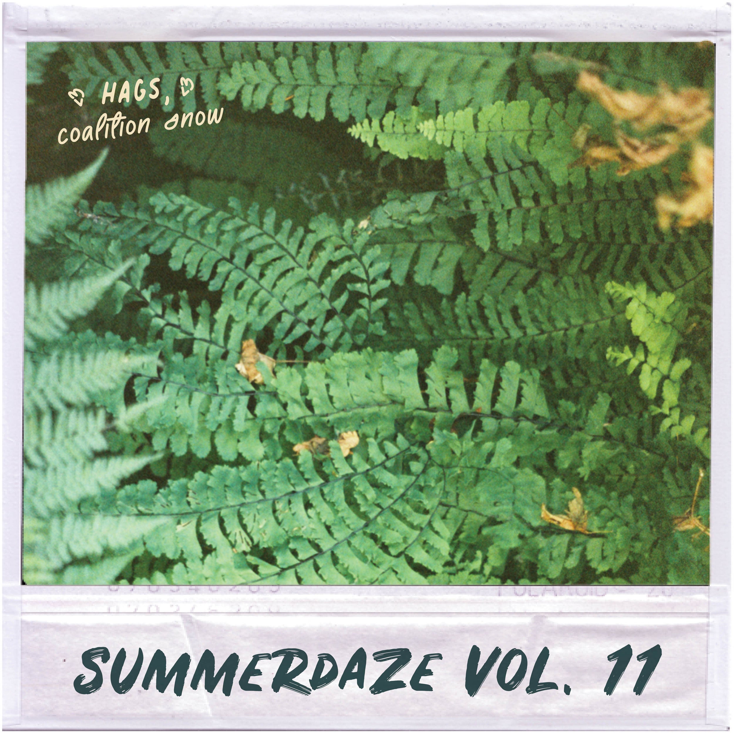 Summerdaze Volume 11
