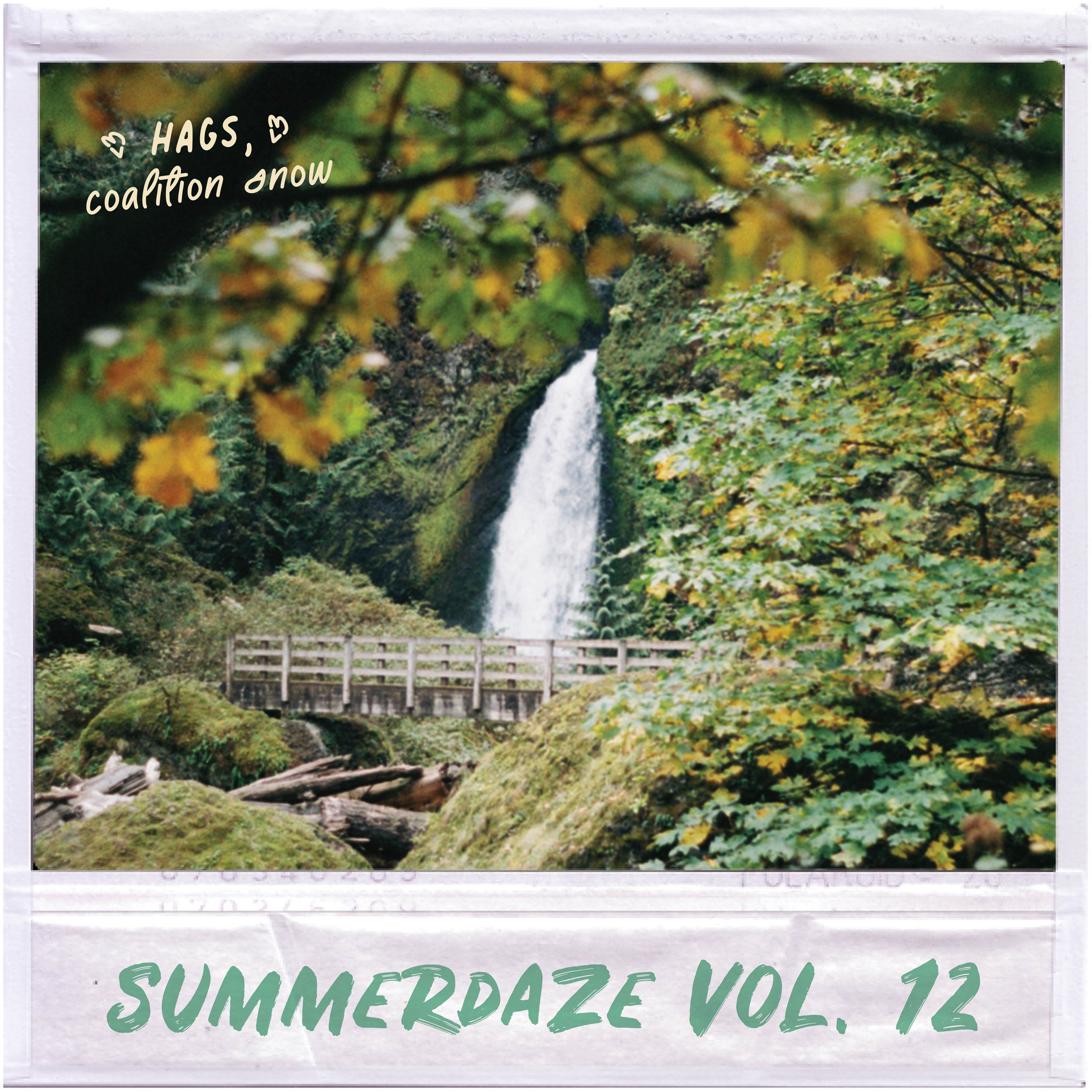 Summerdaze Volume 12
