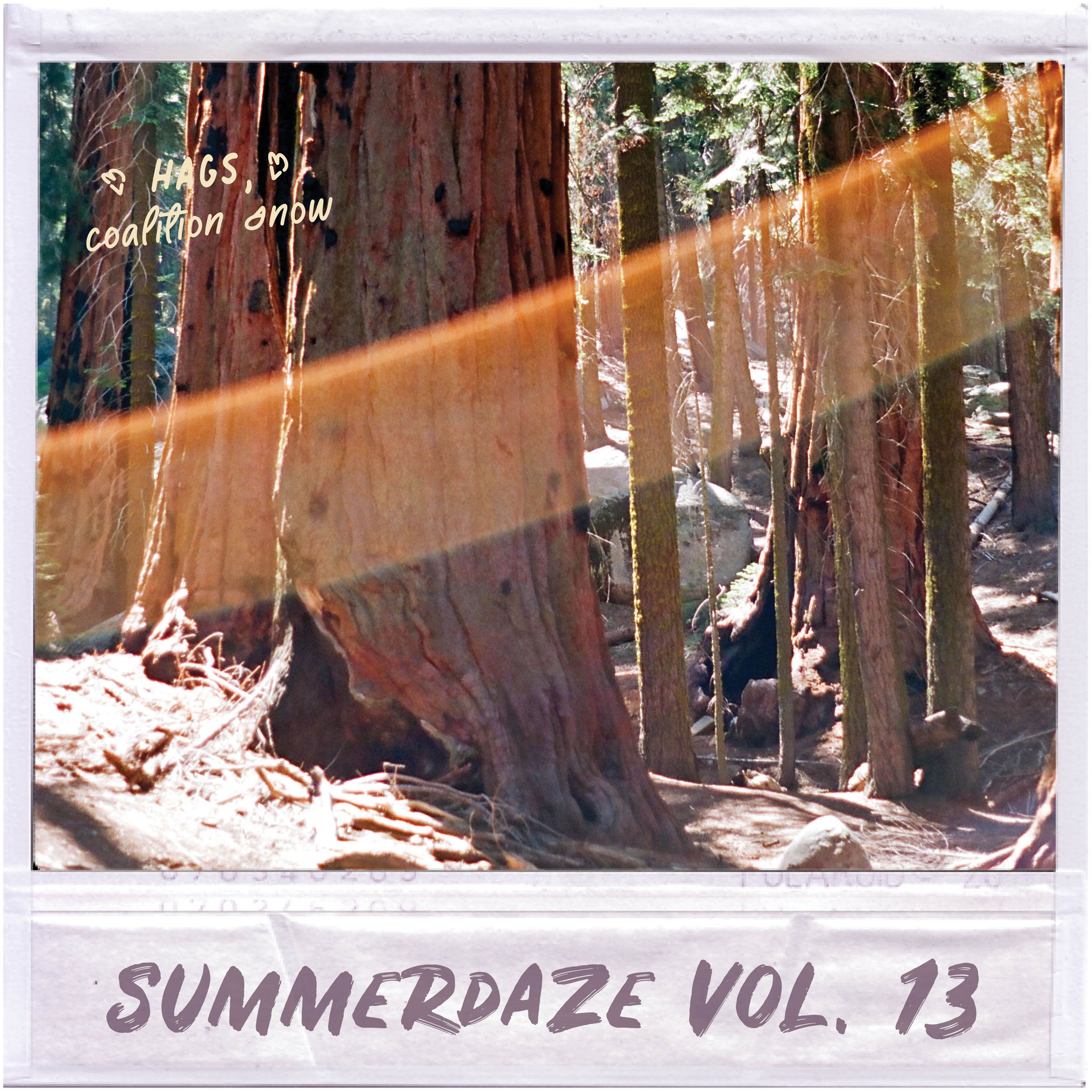 Summerdaze Volume 13