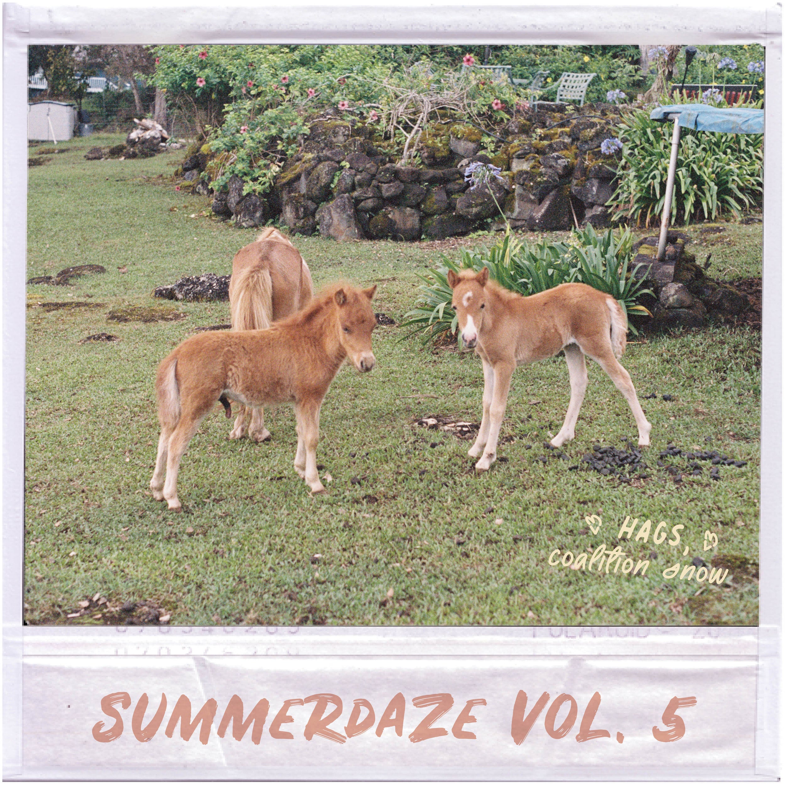 Summerdaze Volume 5