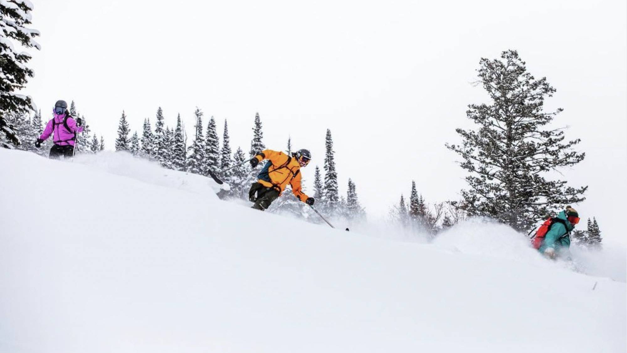 brooklyn bell, a woman of colour who skis 