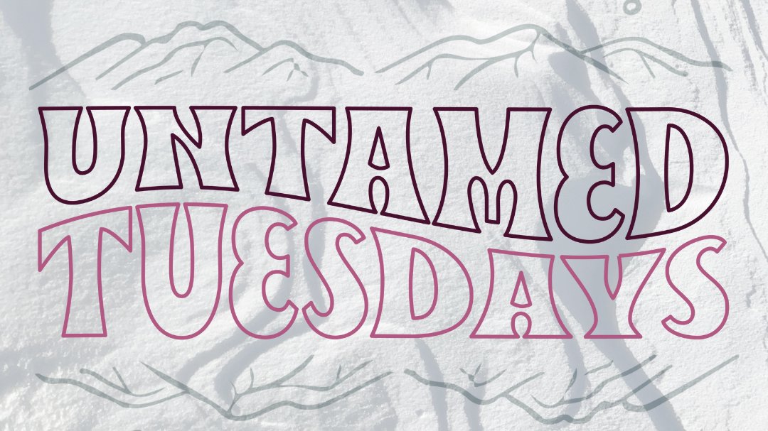 Untamed Tuesdays: January