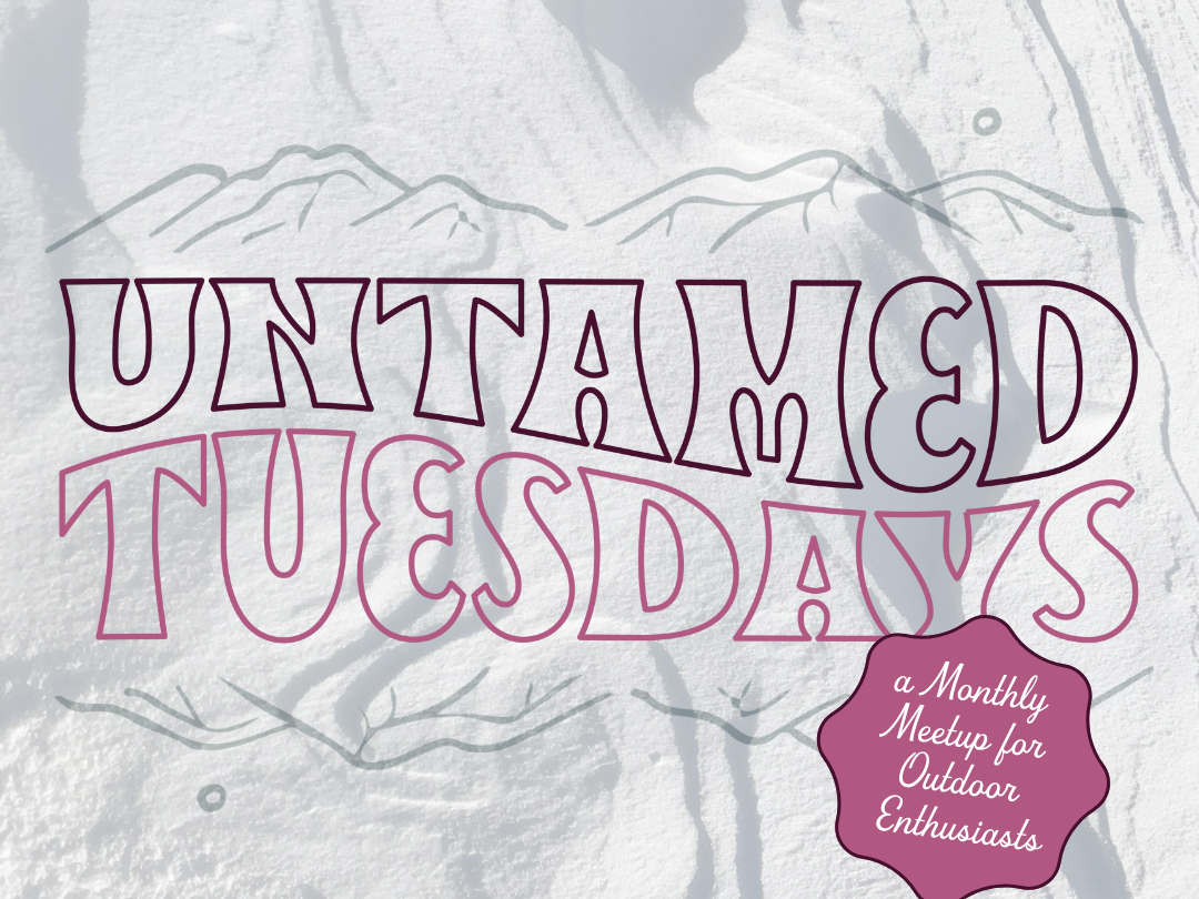 Untamed Tuesdays