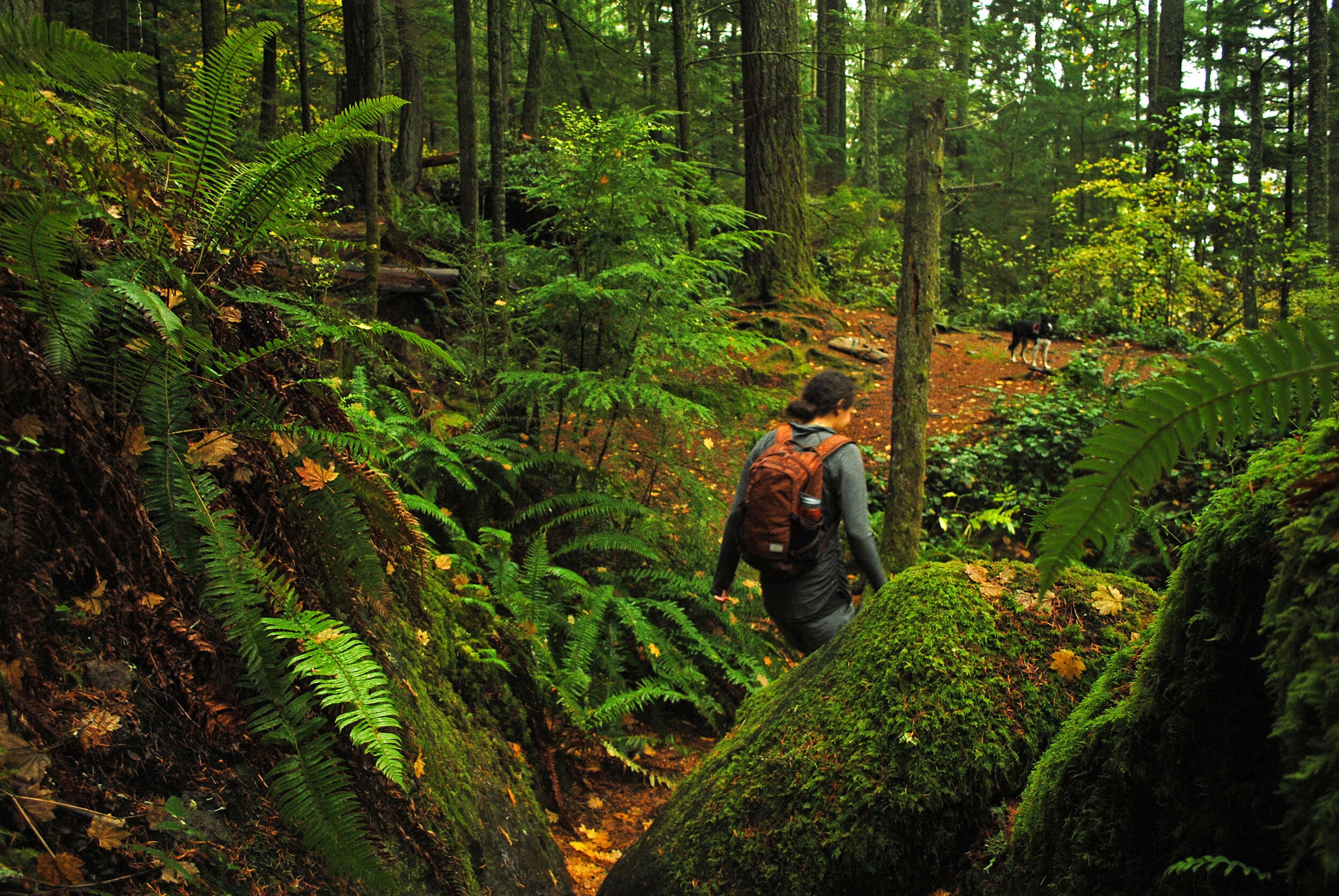 woman alone in the outdoors with her dog 