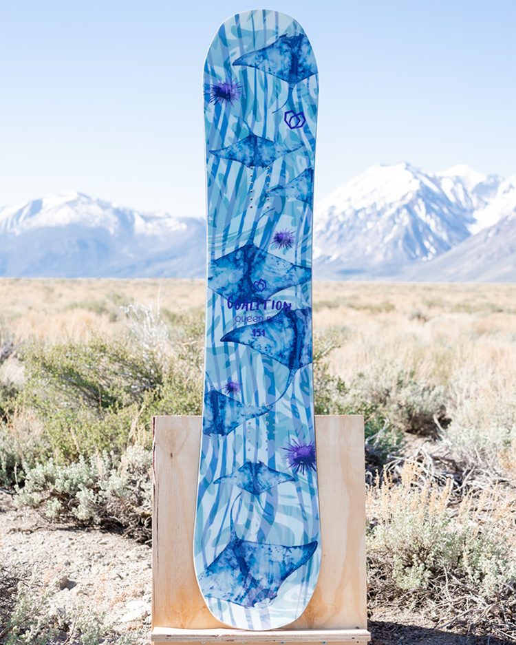 Queen Bee All Mountain Snowboard  |  Stings Like a B