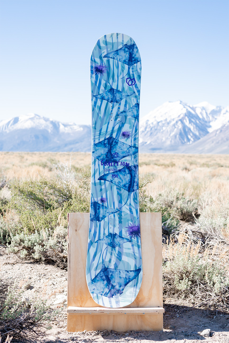 Queen Bee All Mountain Snowboard  |  Stings Like a B