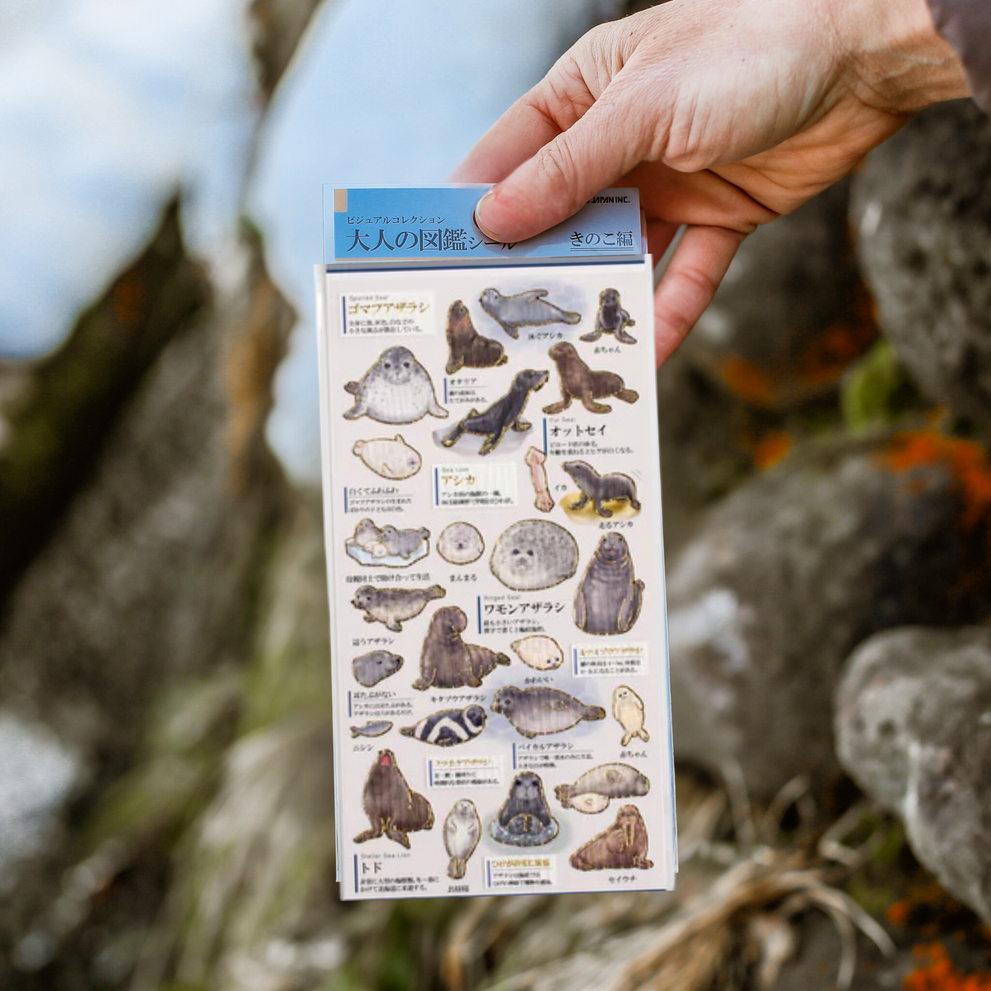 Japanese Sticker Sheets