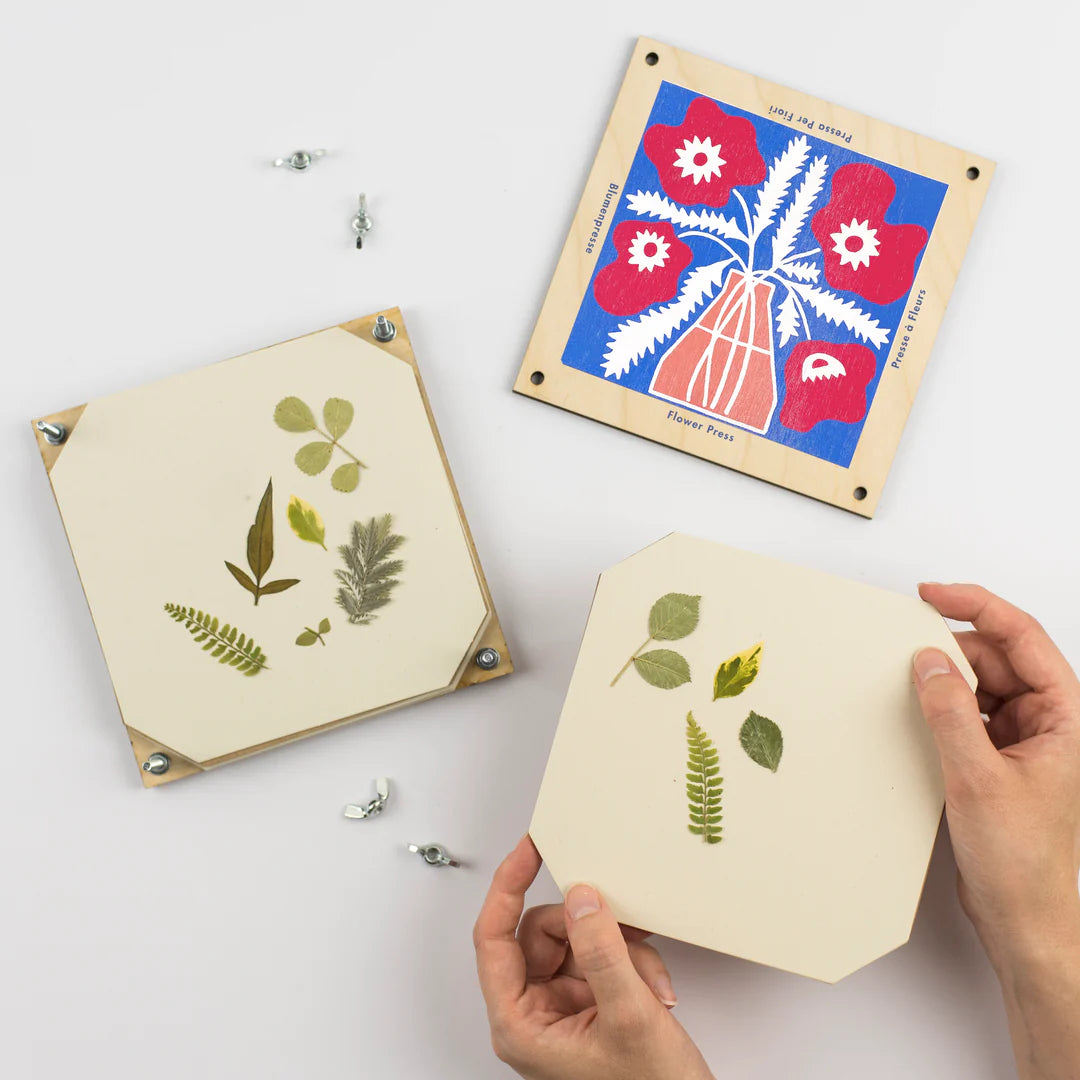 Flower Press DIY Kit – Native Poppy