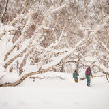 Japow