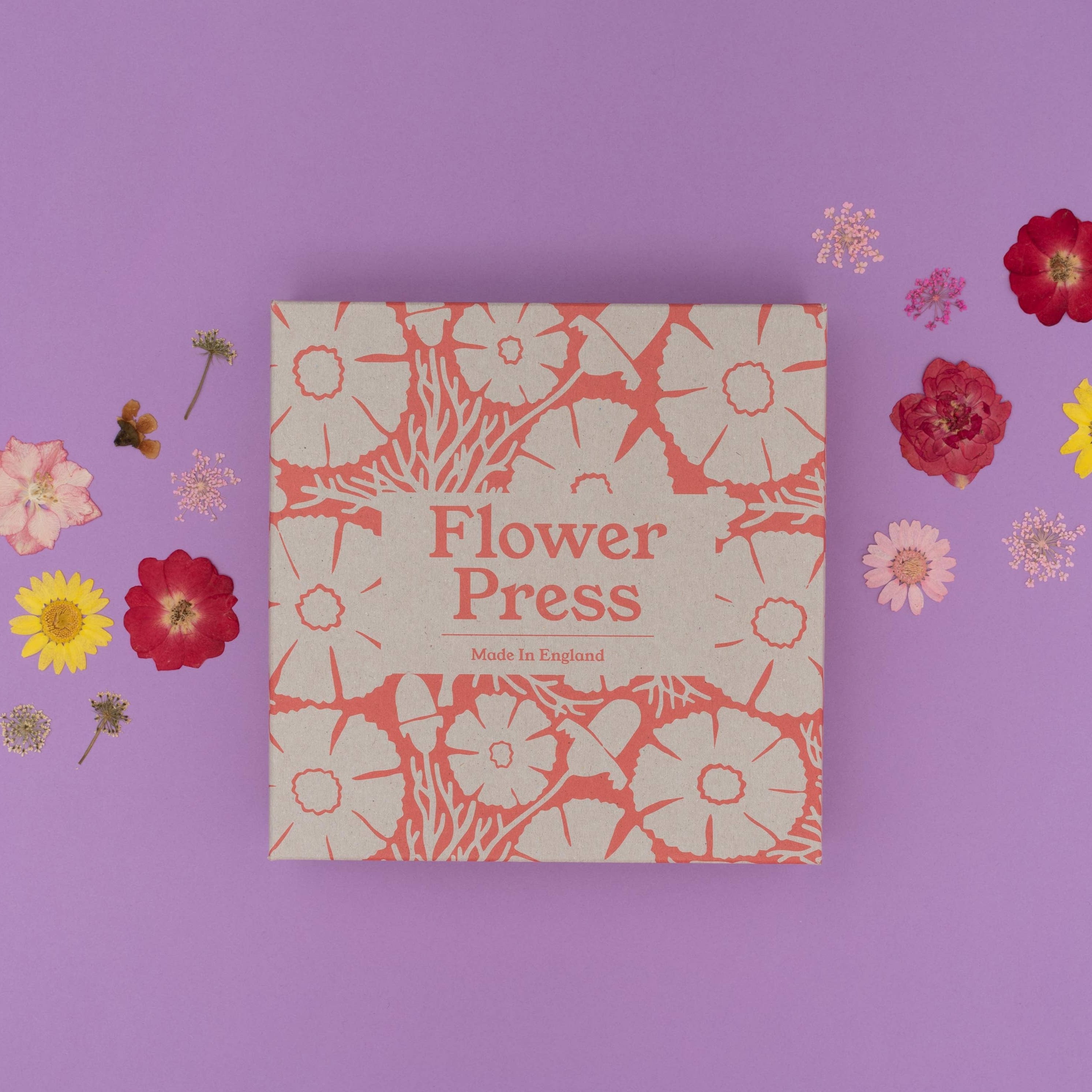 Studio Wald Flower Press | Cosmos