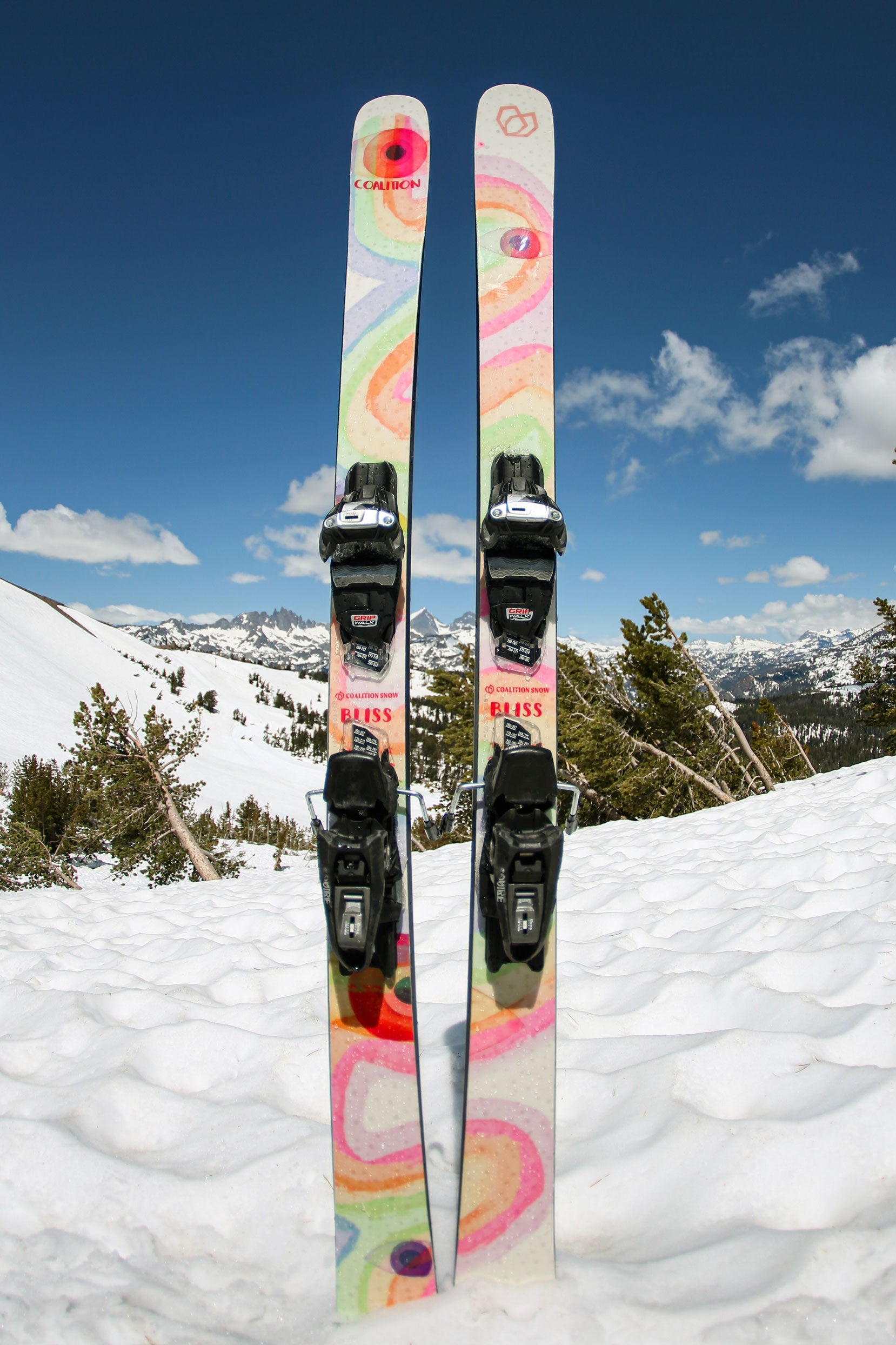 Bliss Women's Freestyle Park Ski Coalition Snow