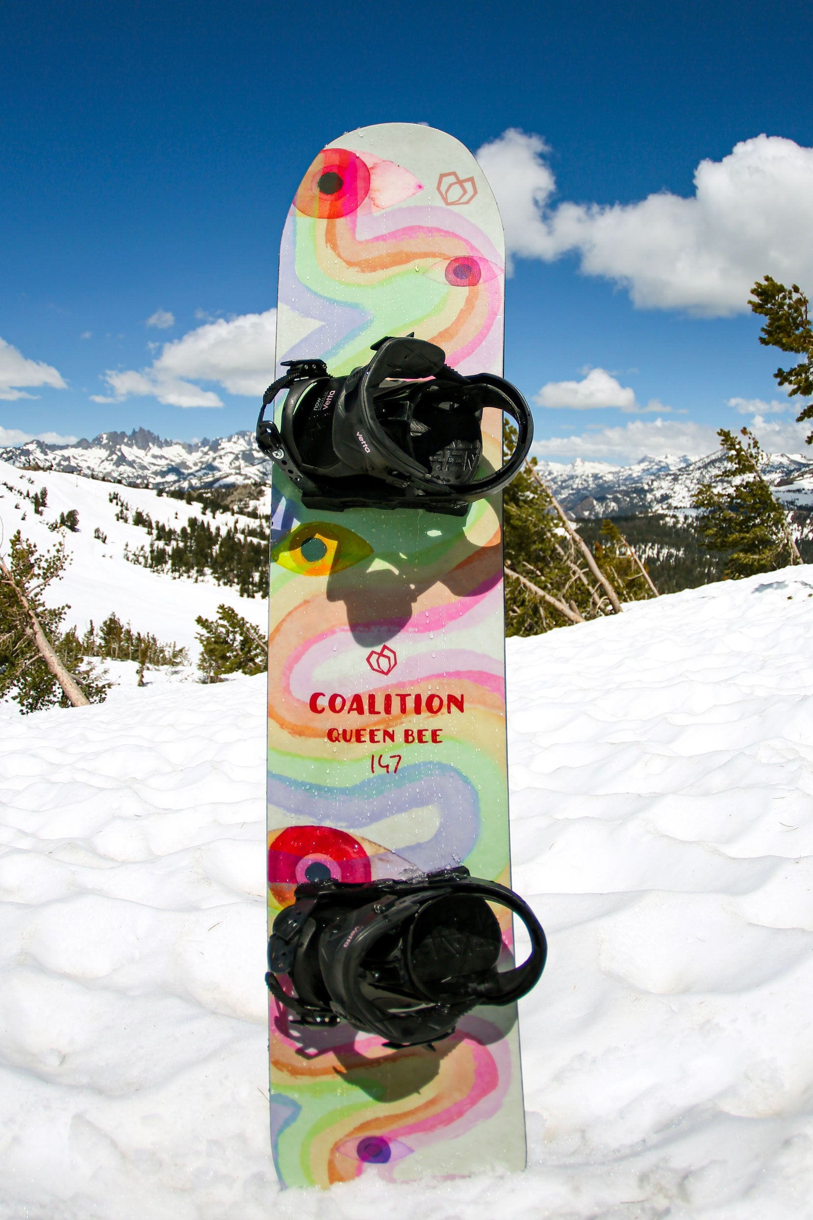 Queen Bee All Mountain Snowboard  |  Sneak Peak