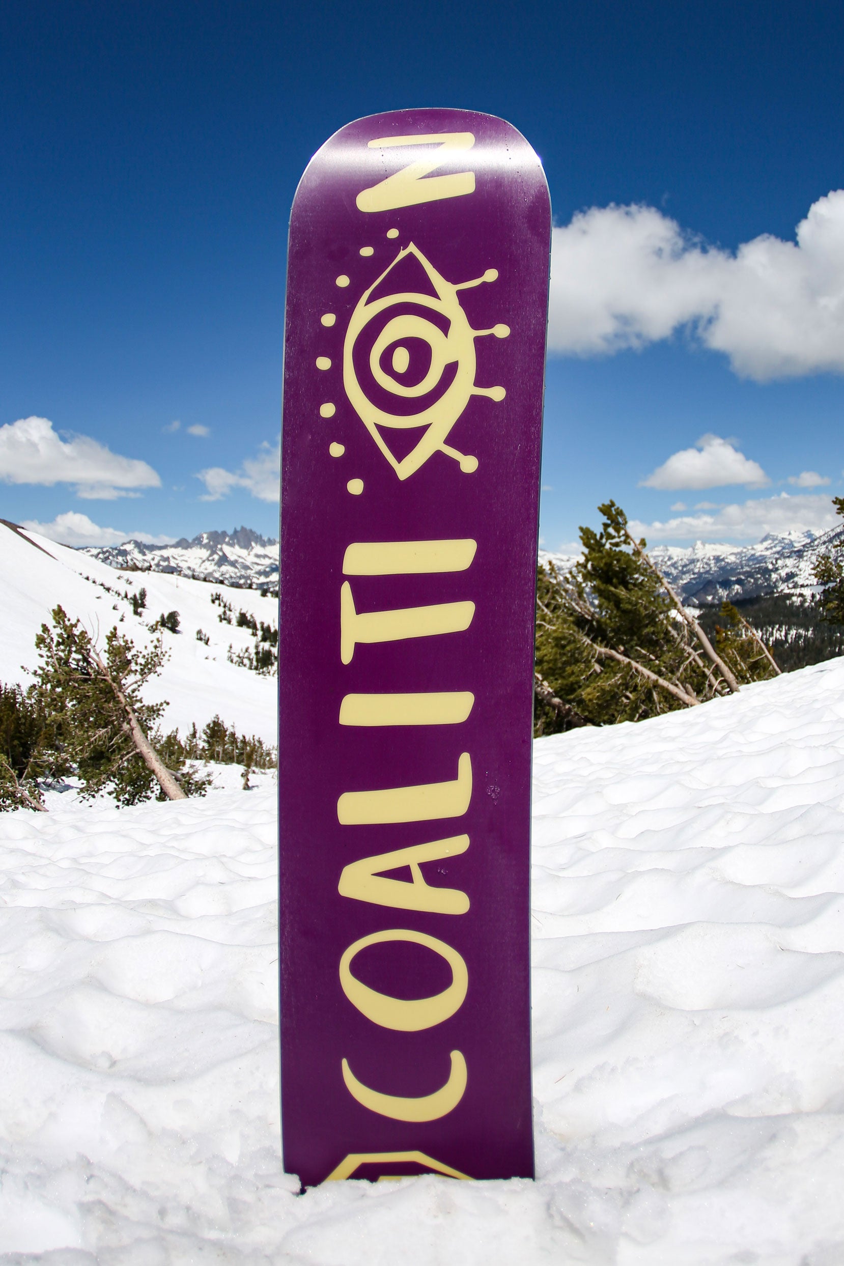 Queen Bee All Mountain Snowboard  |  Sneak Peak