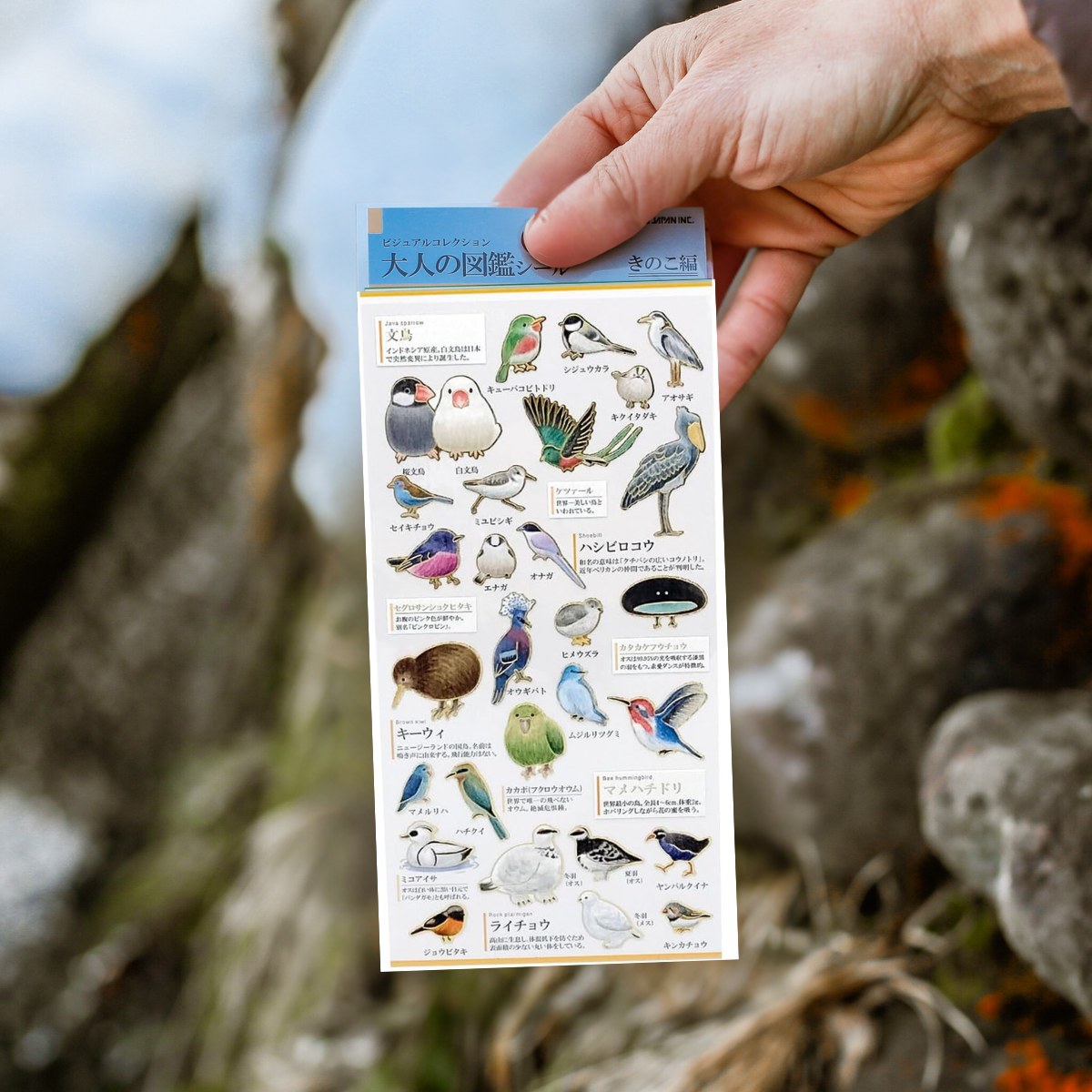 Japanese Sticker Sheets