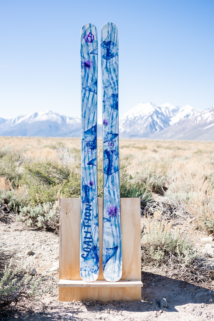 SOS All Mountain Skis | Stings Like a B