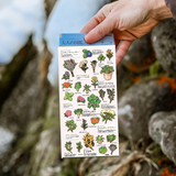 Japanese Sticker Sheets