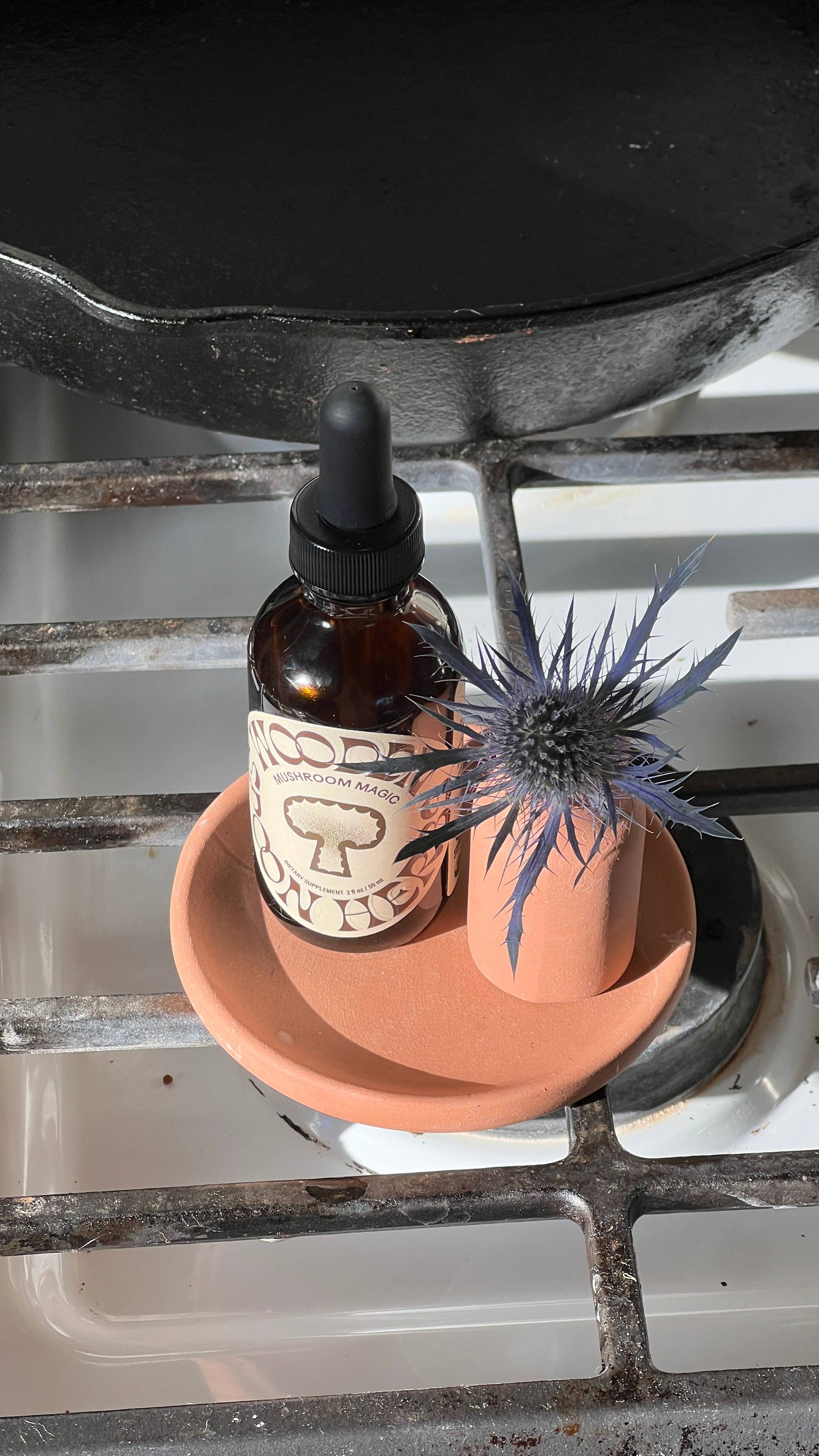 Wooden Spoon Herbs | Mushroom Magic