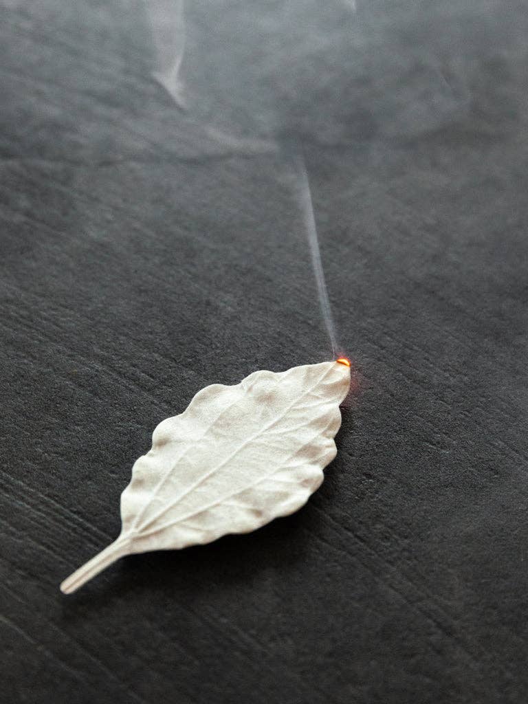 HA KO Paper Incense | Winter Sweet Ginger