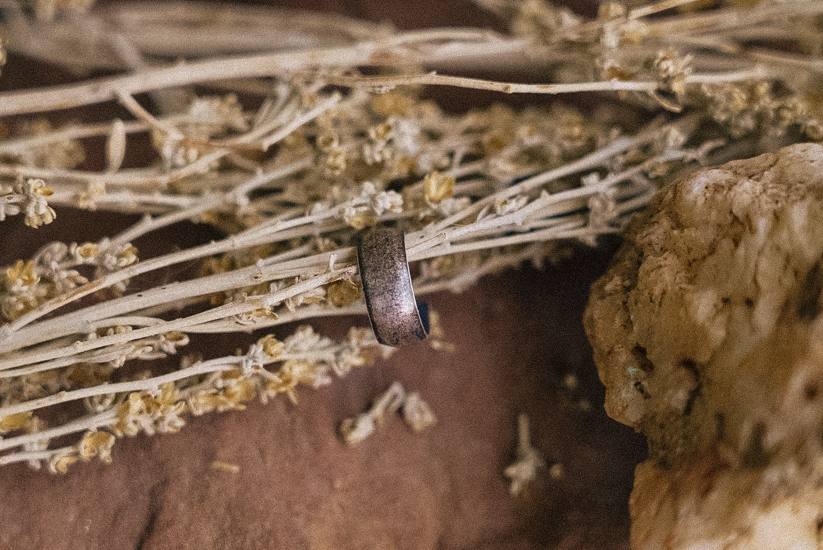 Crooked Trails Silver | Ear Cuffs