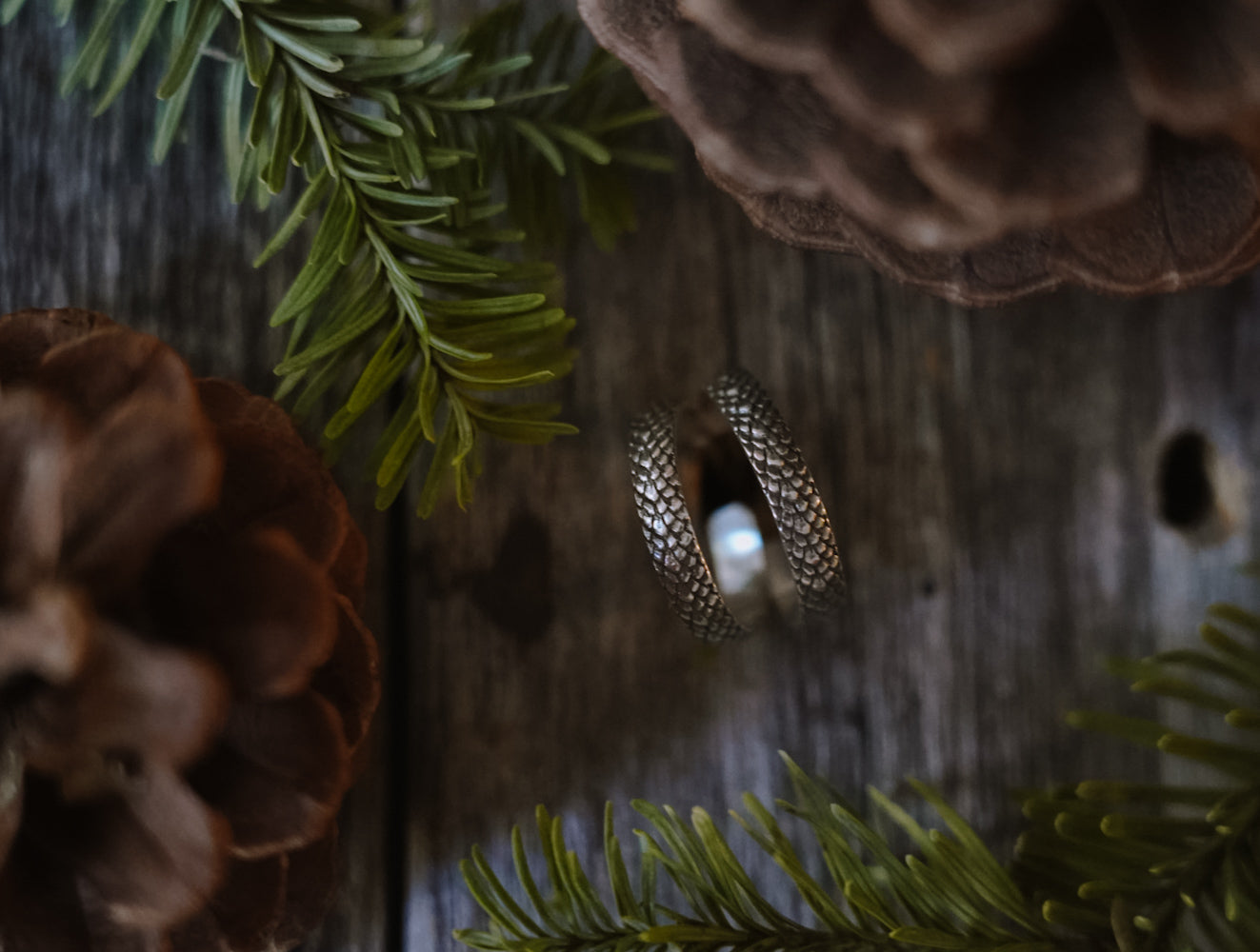 Crooked Trails Silver | Snake Skin Hoops