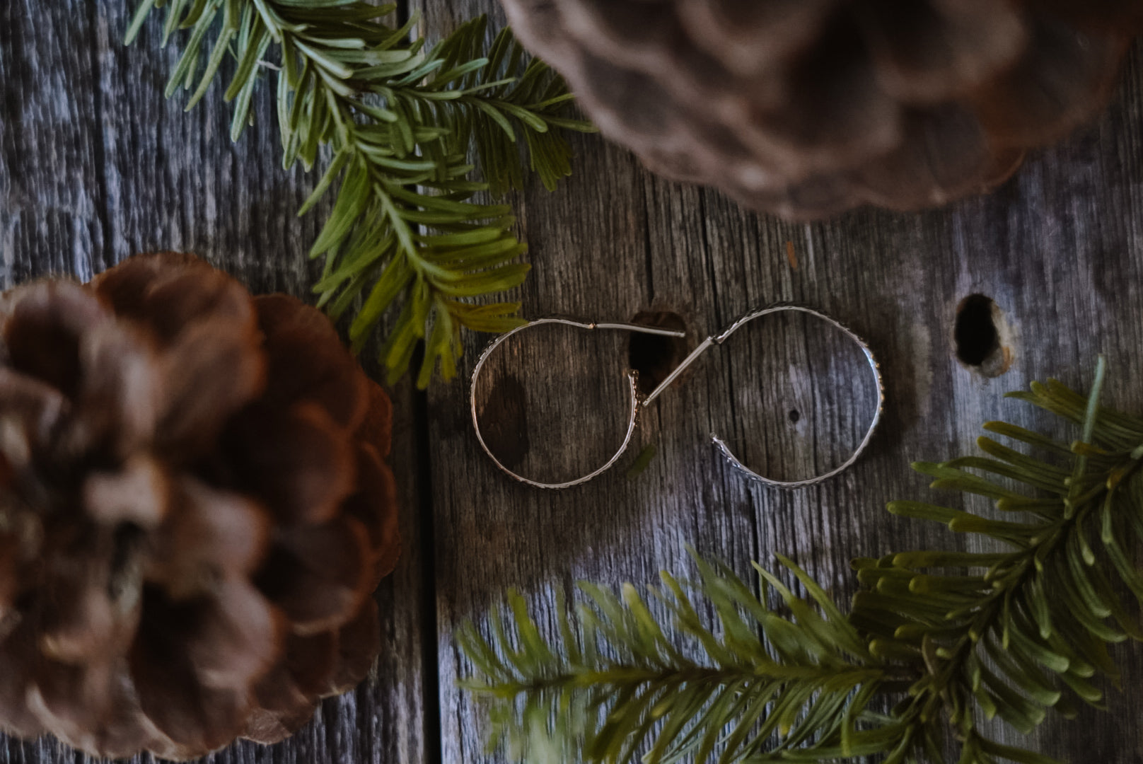 Crooked Trails Silver | Snake Skin Hoops