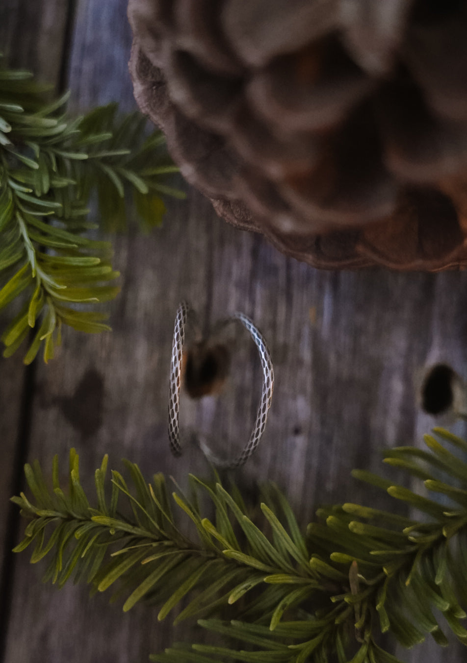 Crooked Trails Silver | Cholla Hoops