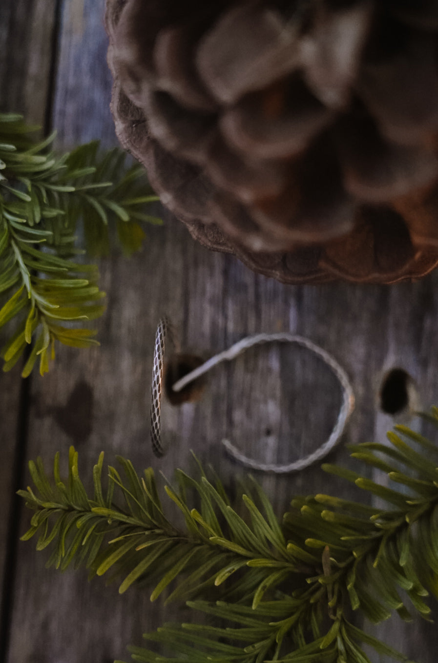 Crooked Trails Silver | Cholla Hoops