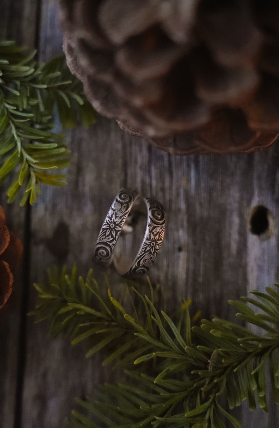 Crooked Trails Silver | Garden Hoops