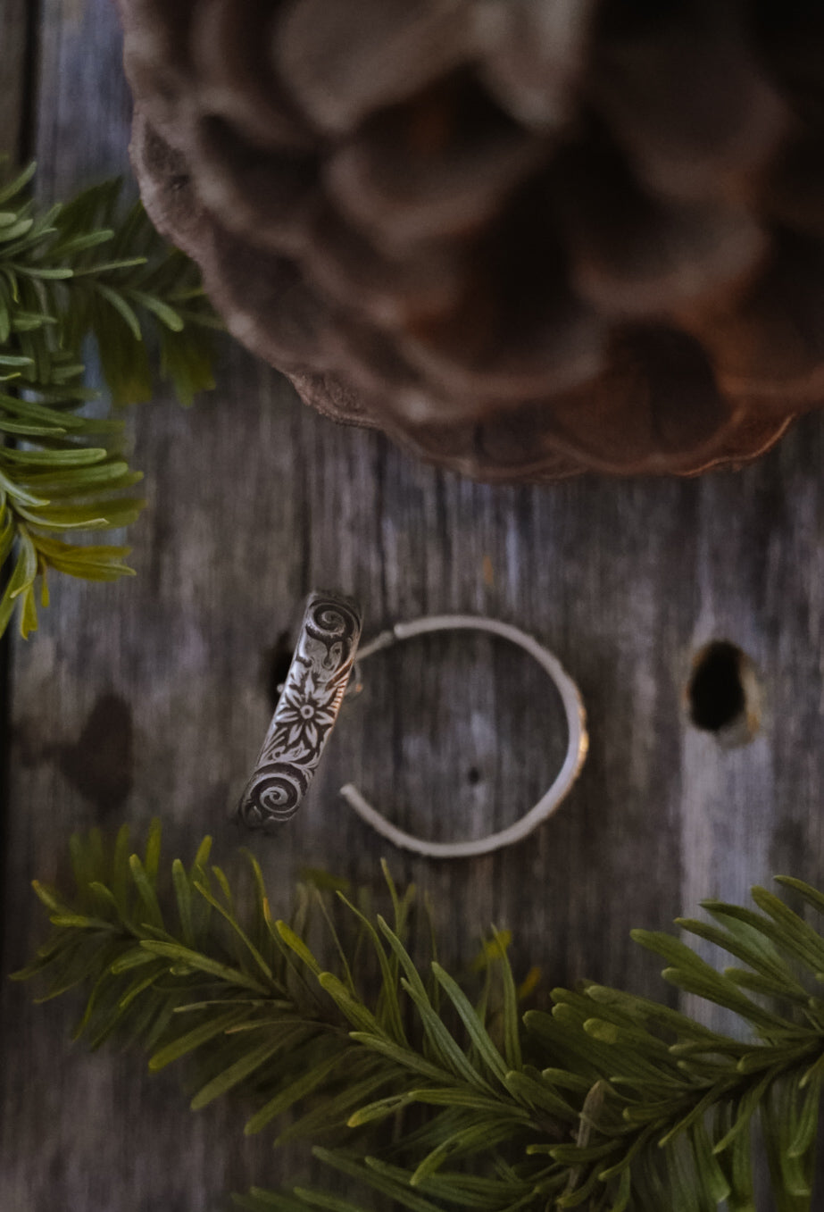 Crooked Trails Silver | Garden Hoops