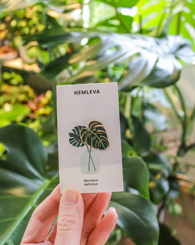 Hemleva | Pins