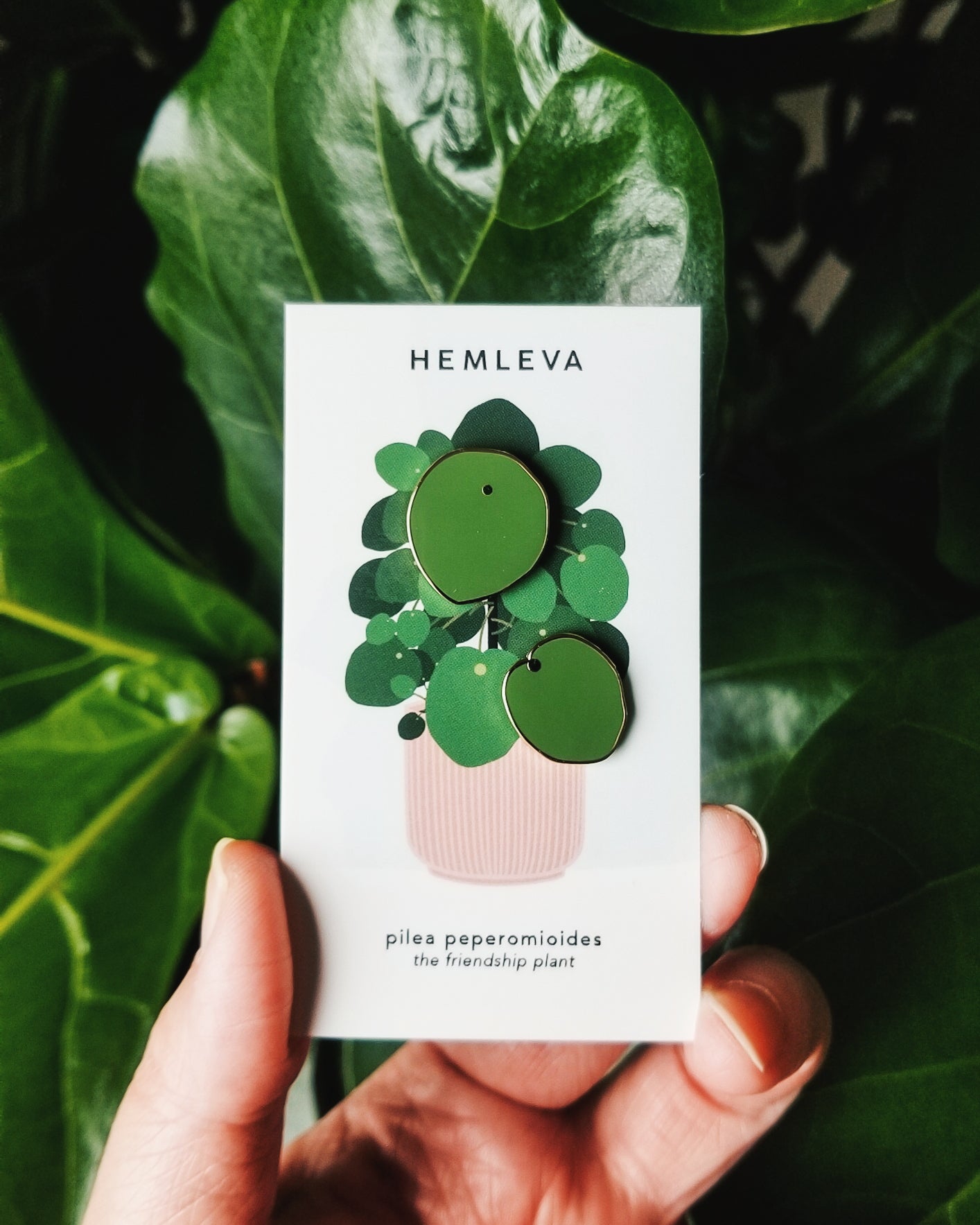 Hemleva | Pins